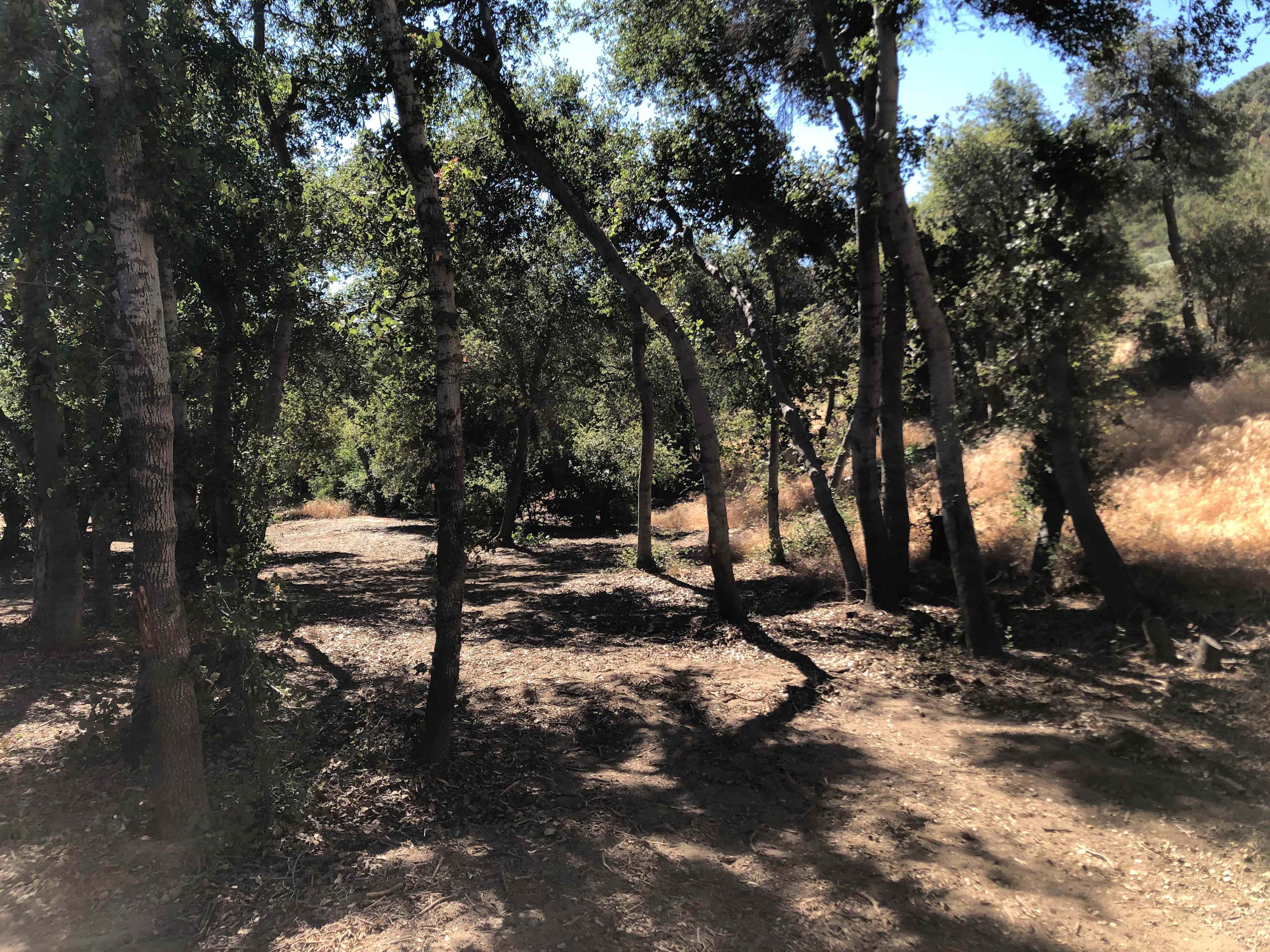 View of the campground.