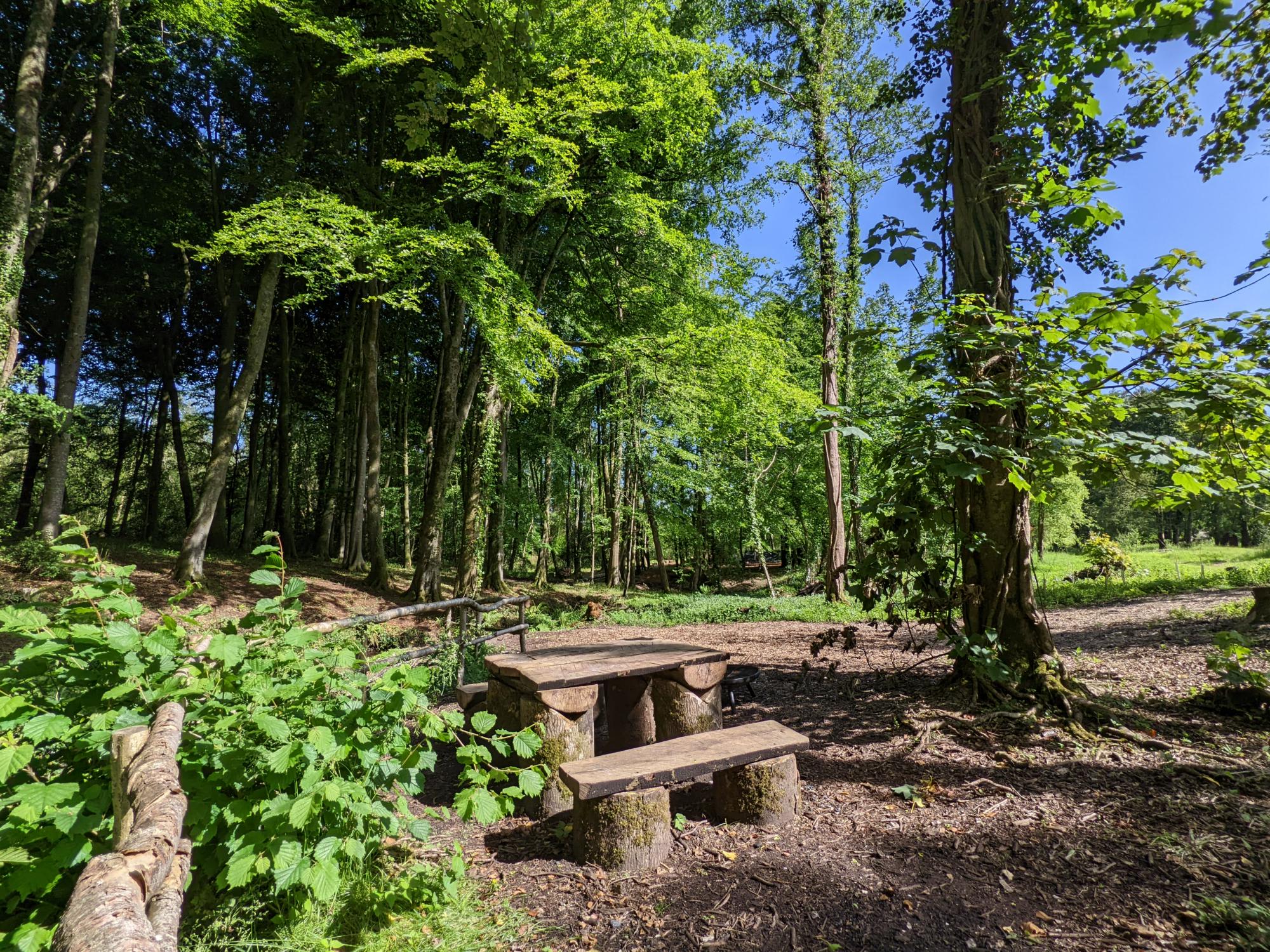 Picture of the site