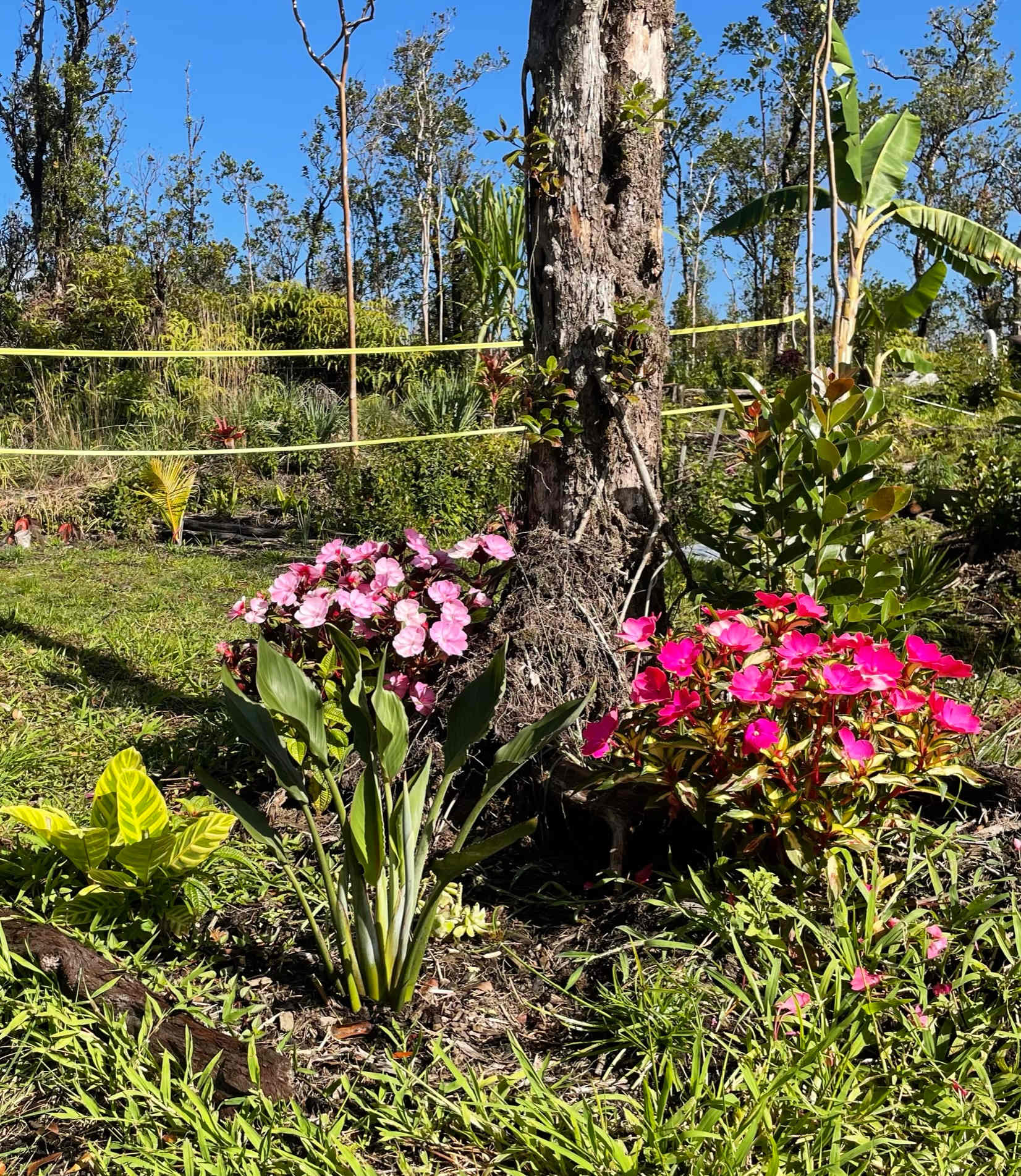 Misty Mauna Farms - Photo 3