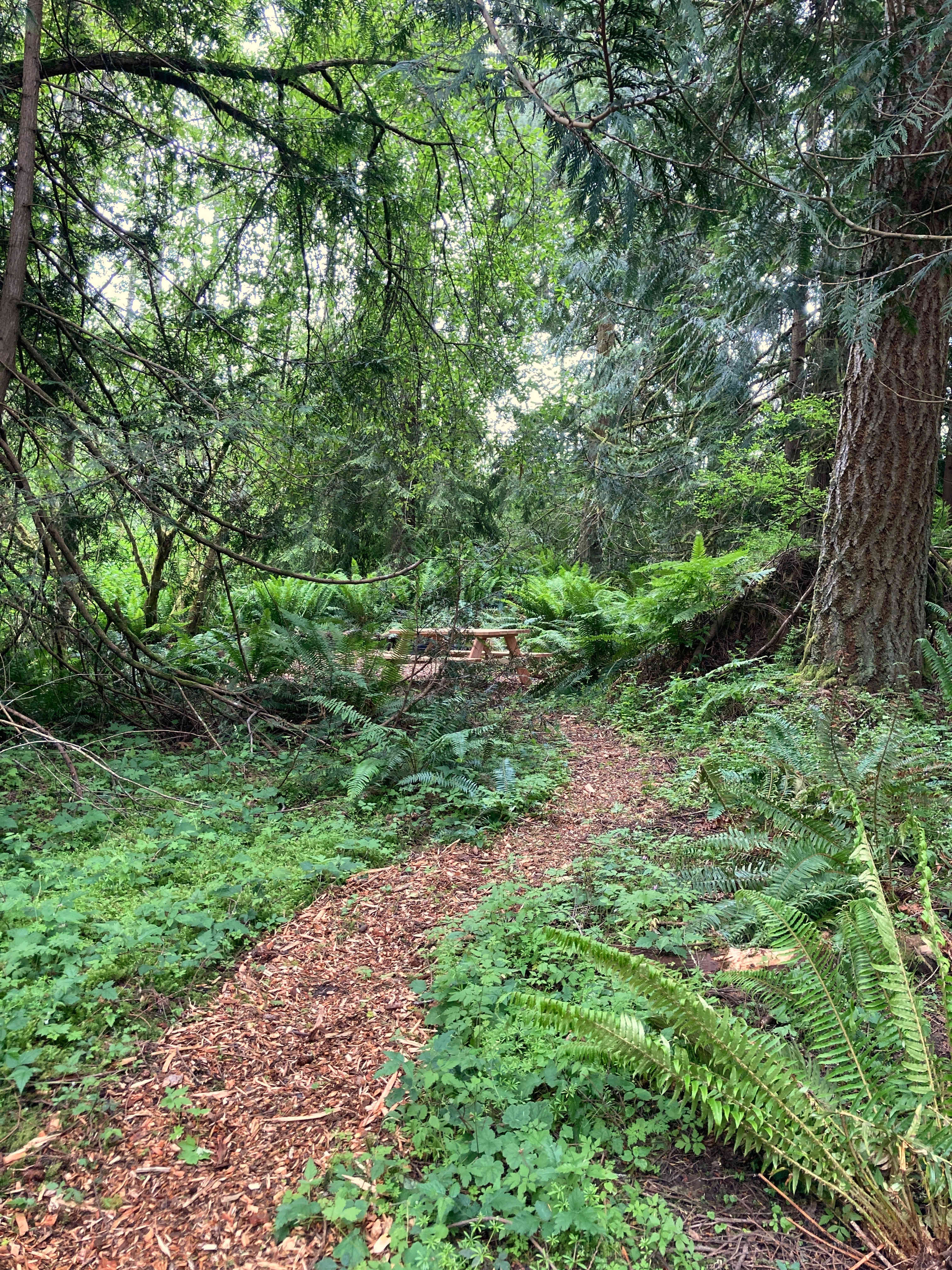 Pepper Creek