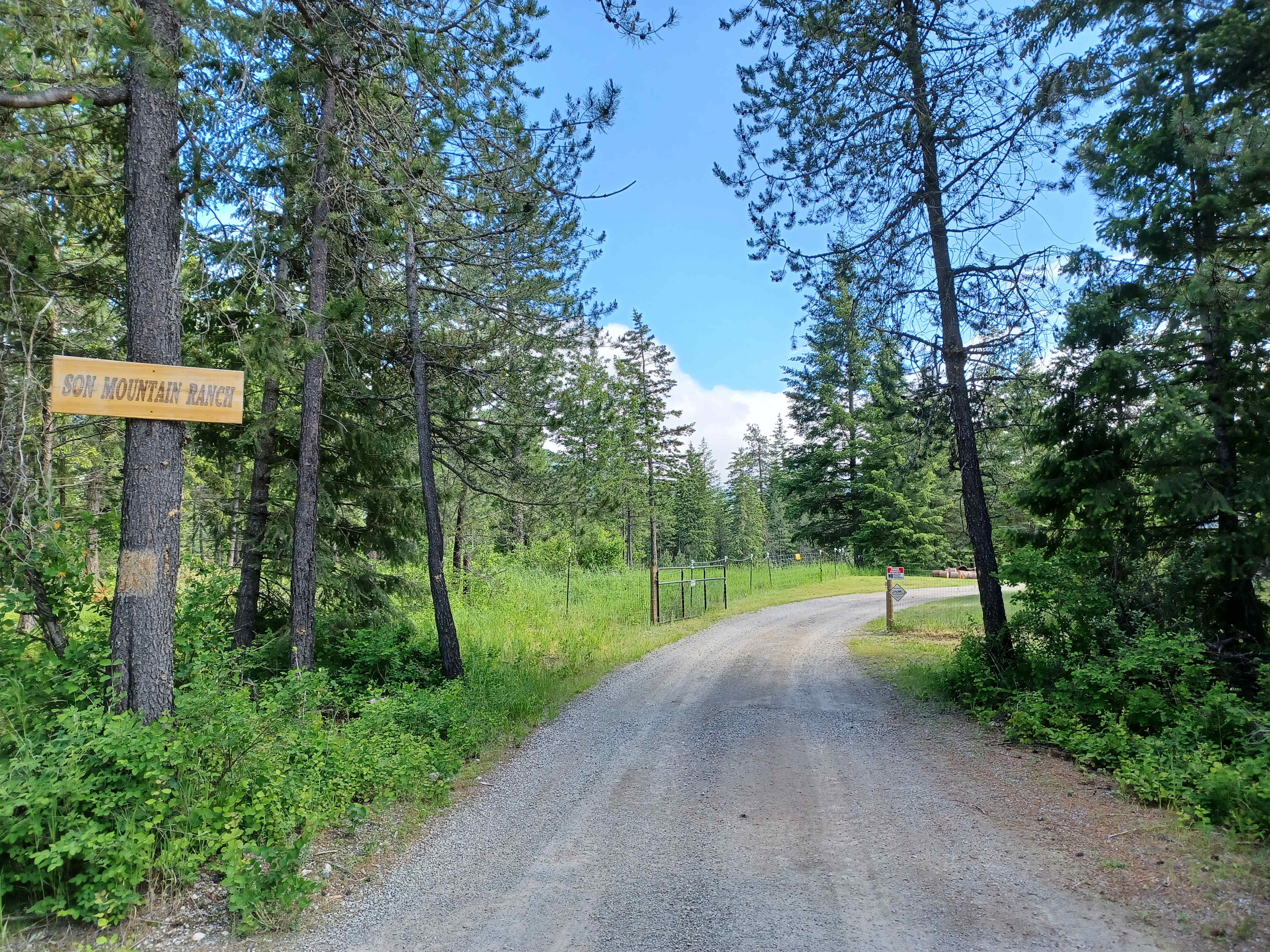 Driveway entrance 
Picture 2