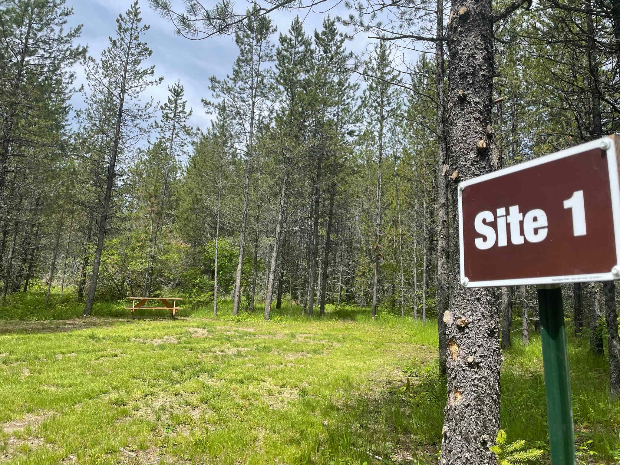 Picture of the site
