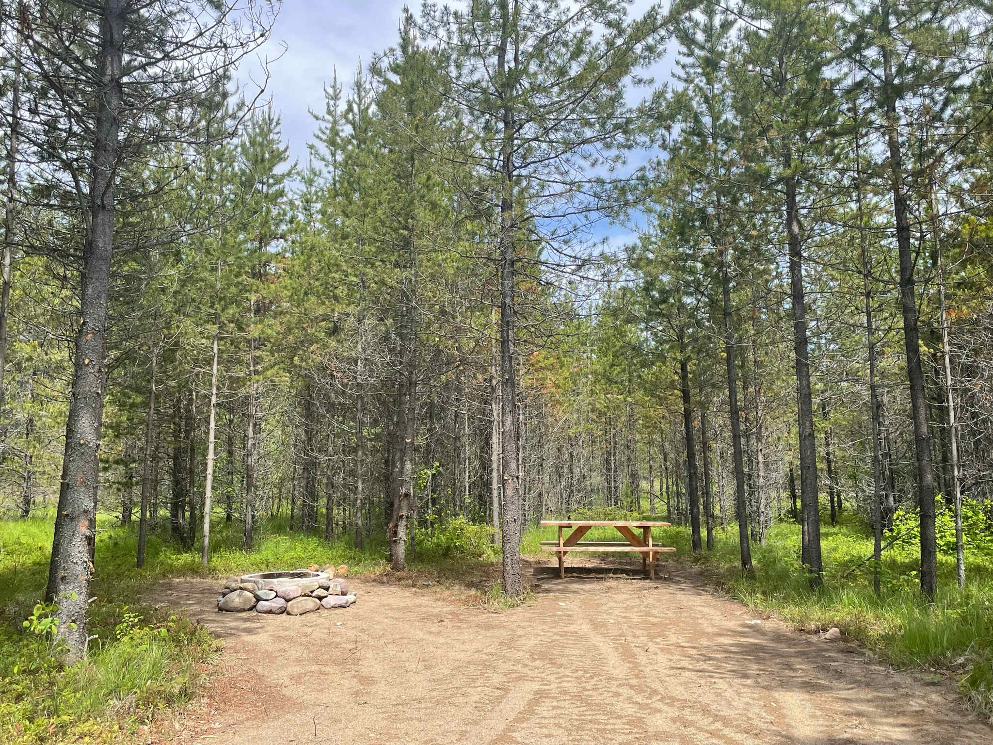 Picture of the site