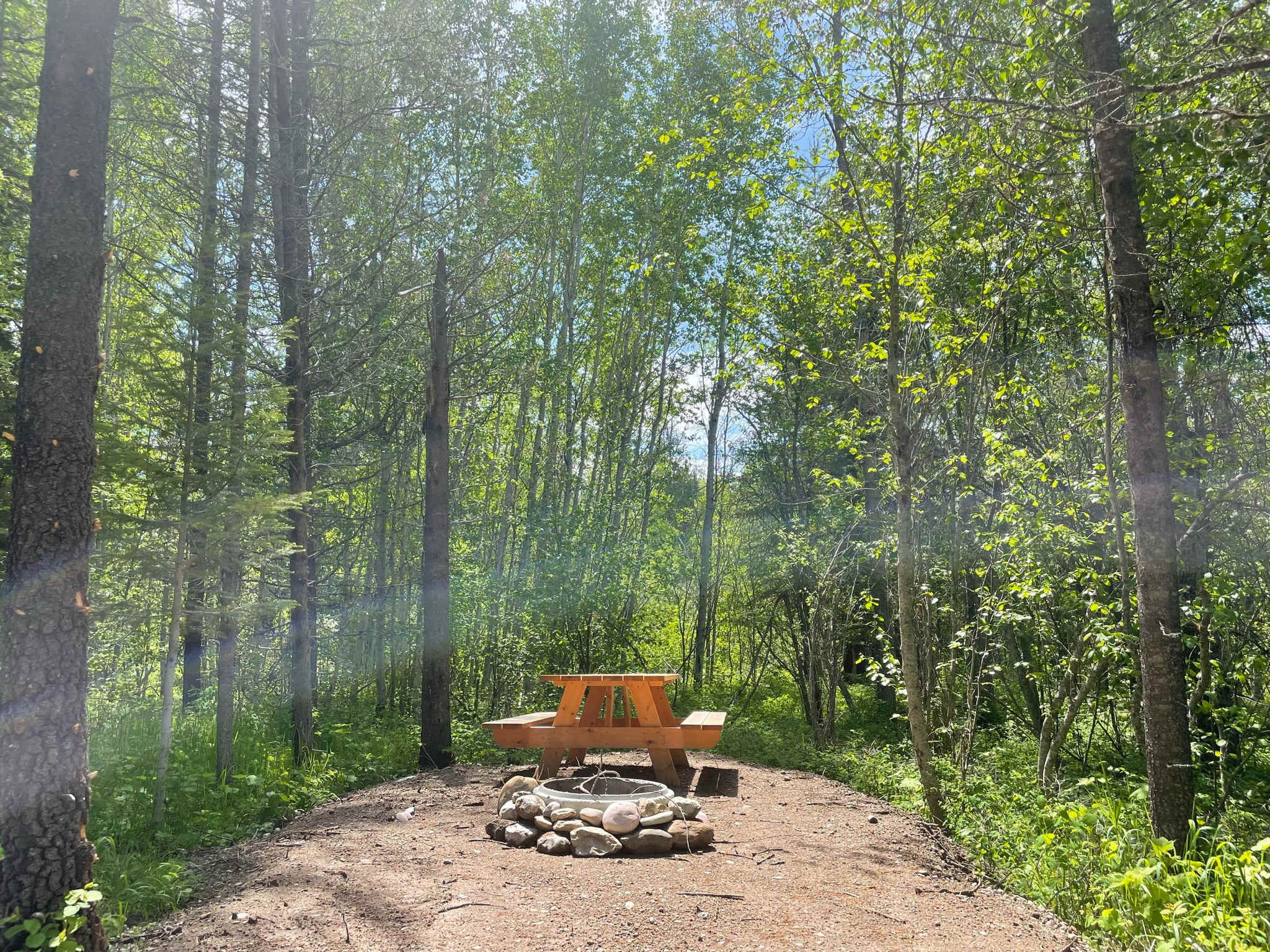 Picture of the site