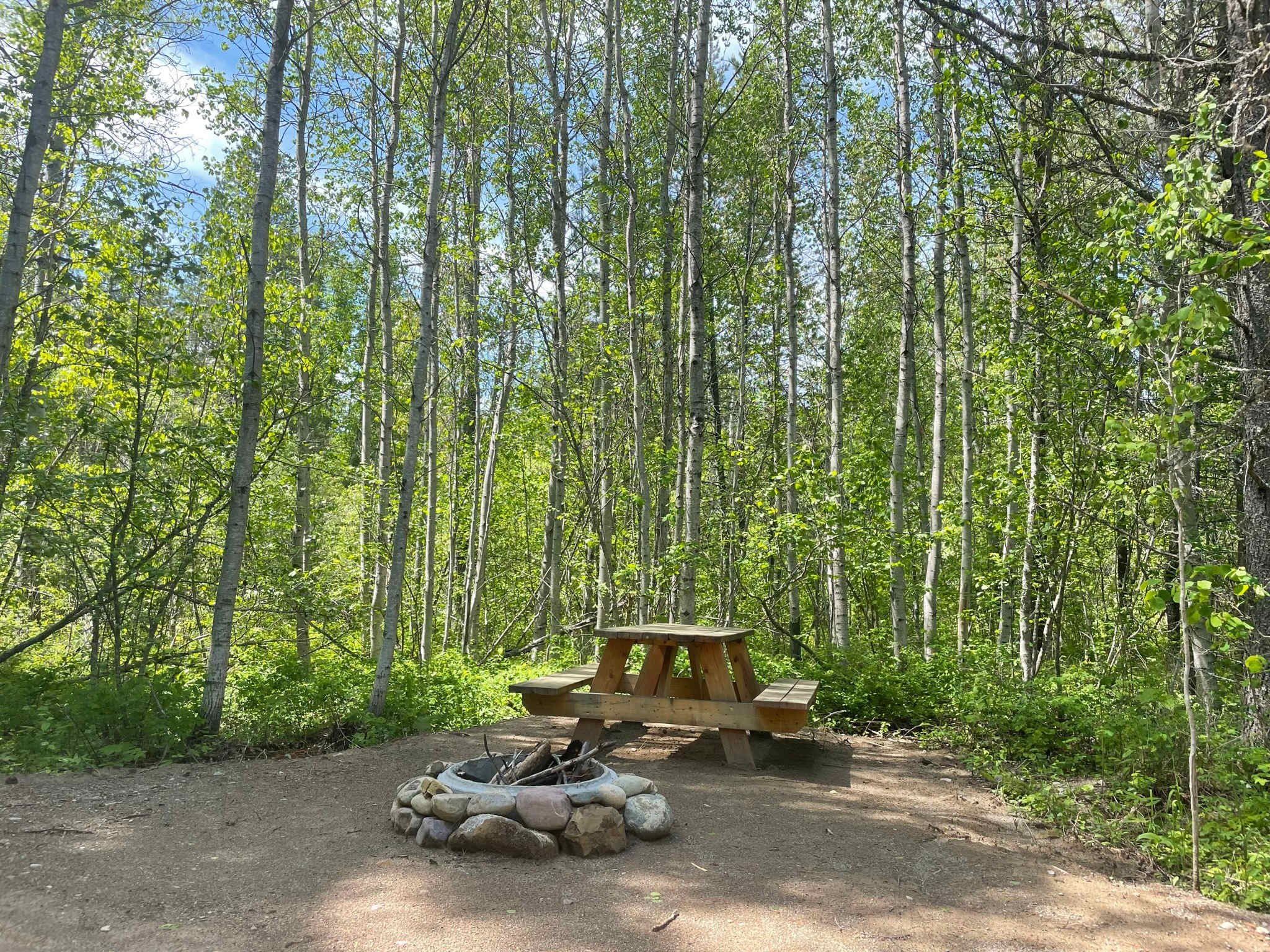 Picture of the site