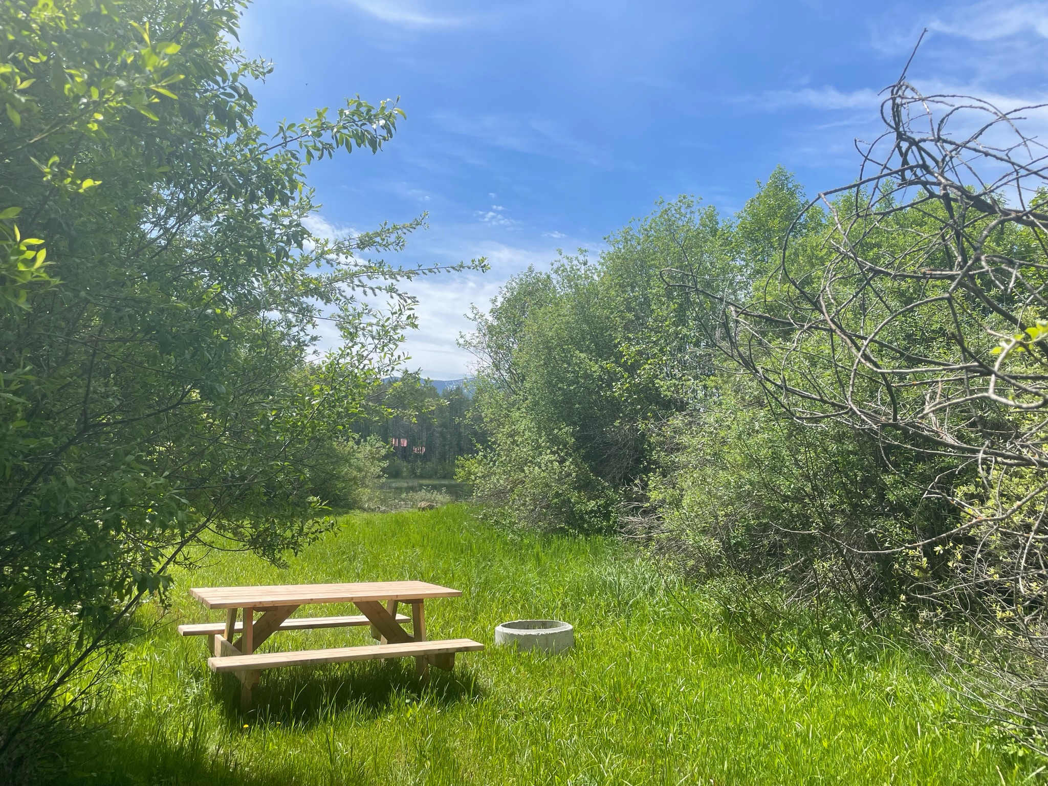 Picture of the site