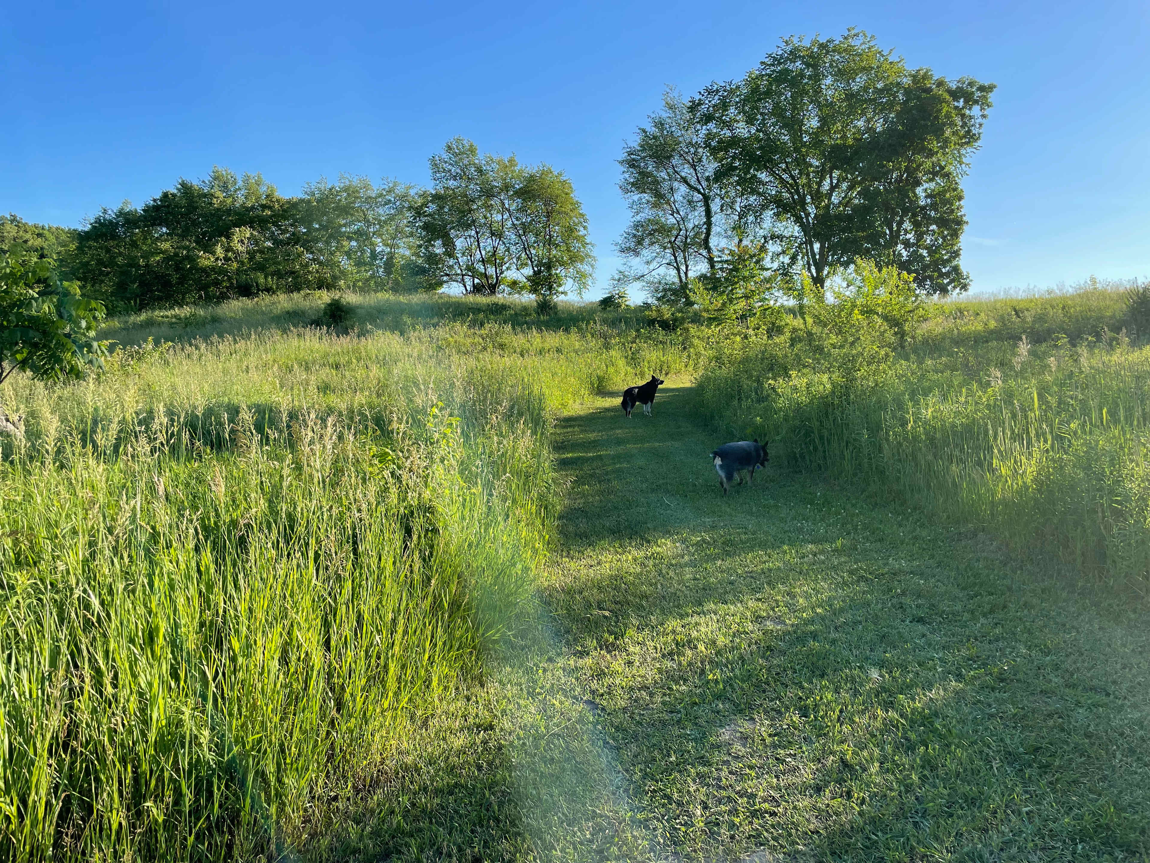 Trail on campsite