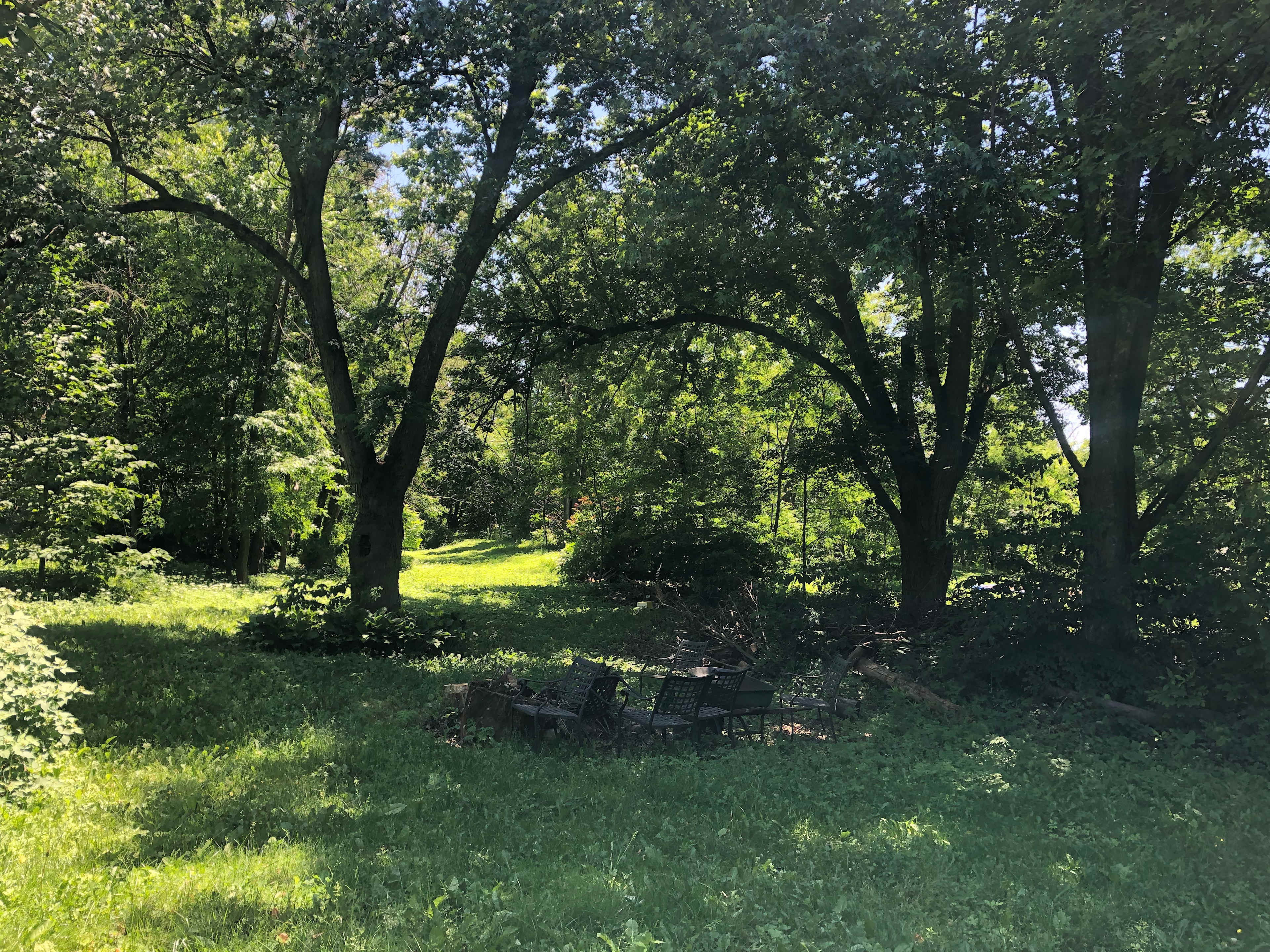 Mountain Farm