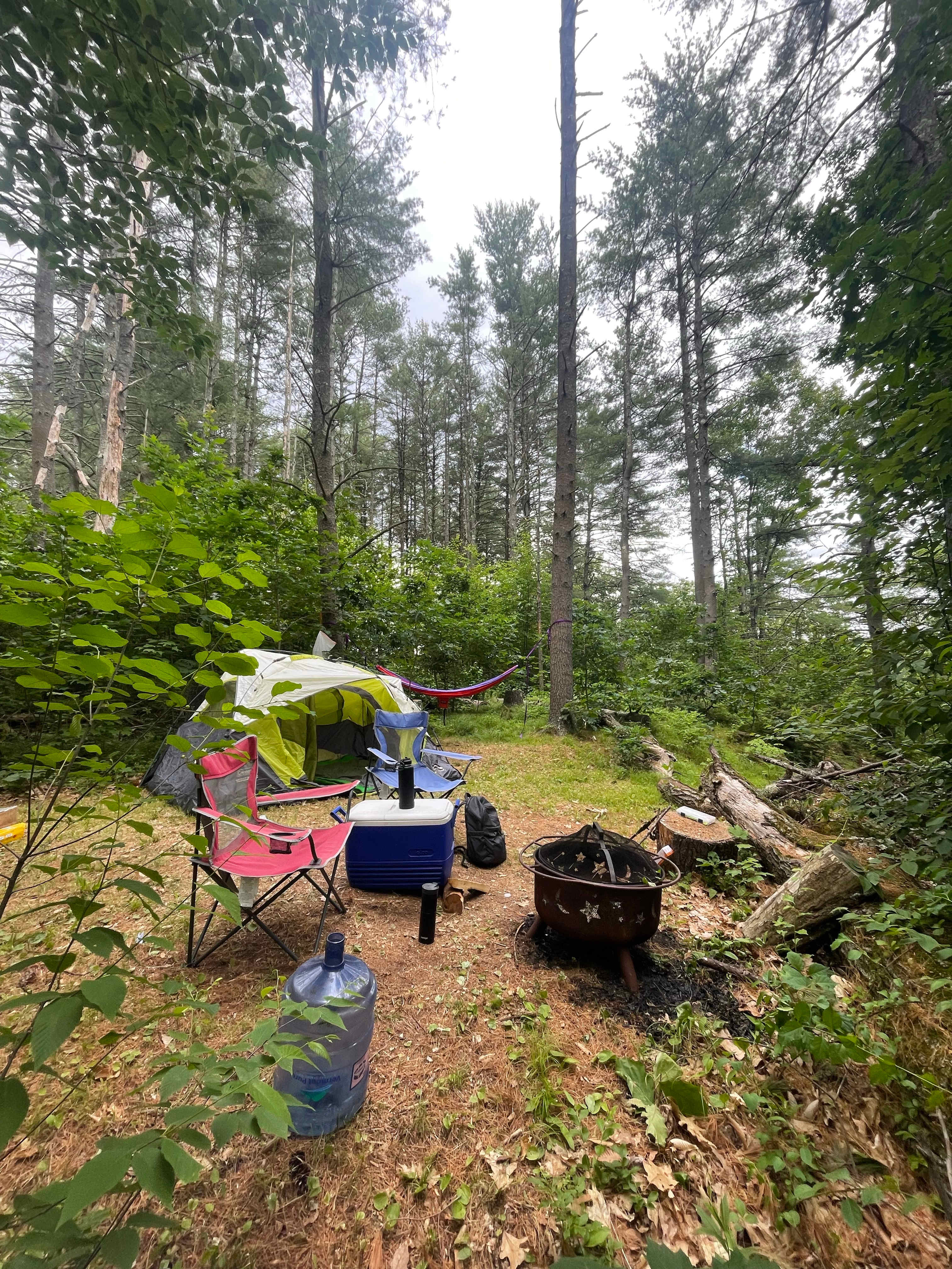Picture of the site