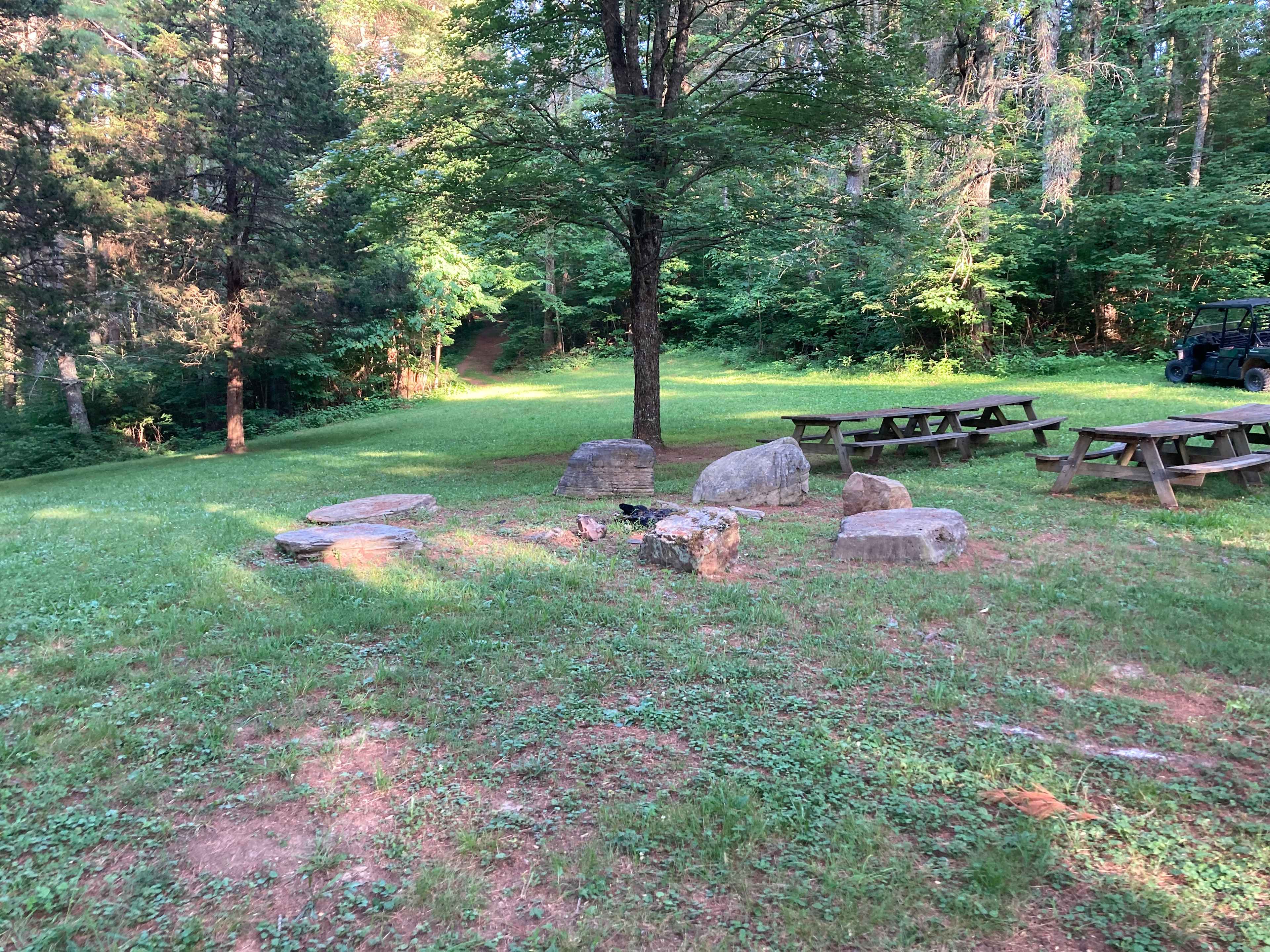 Rock fire pit in center near shade tree and picnic tables in Easter egg meadow 