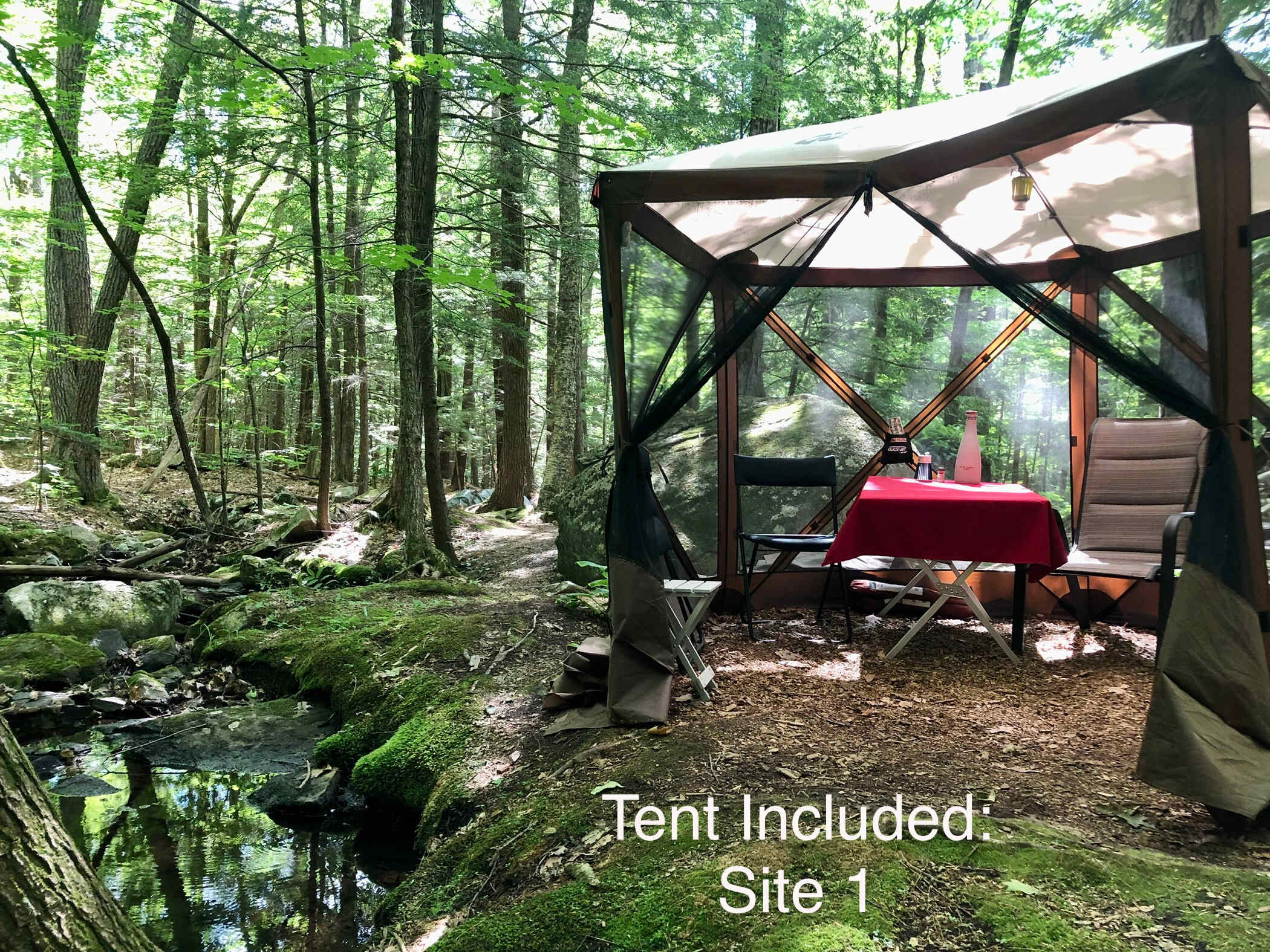 Picture of the site