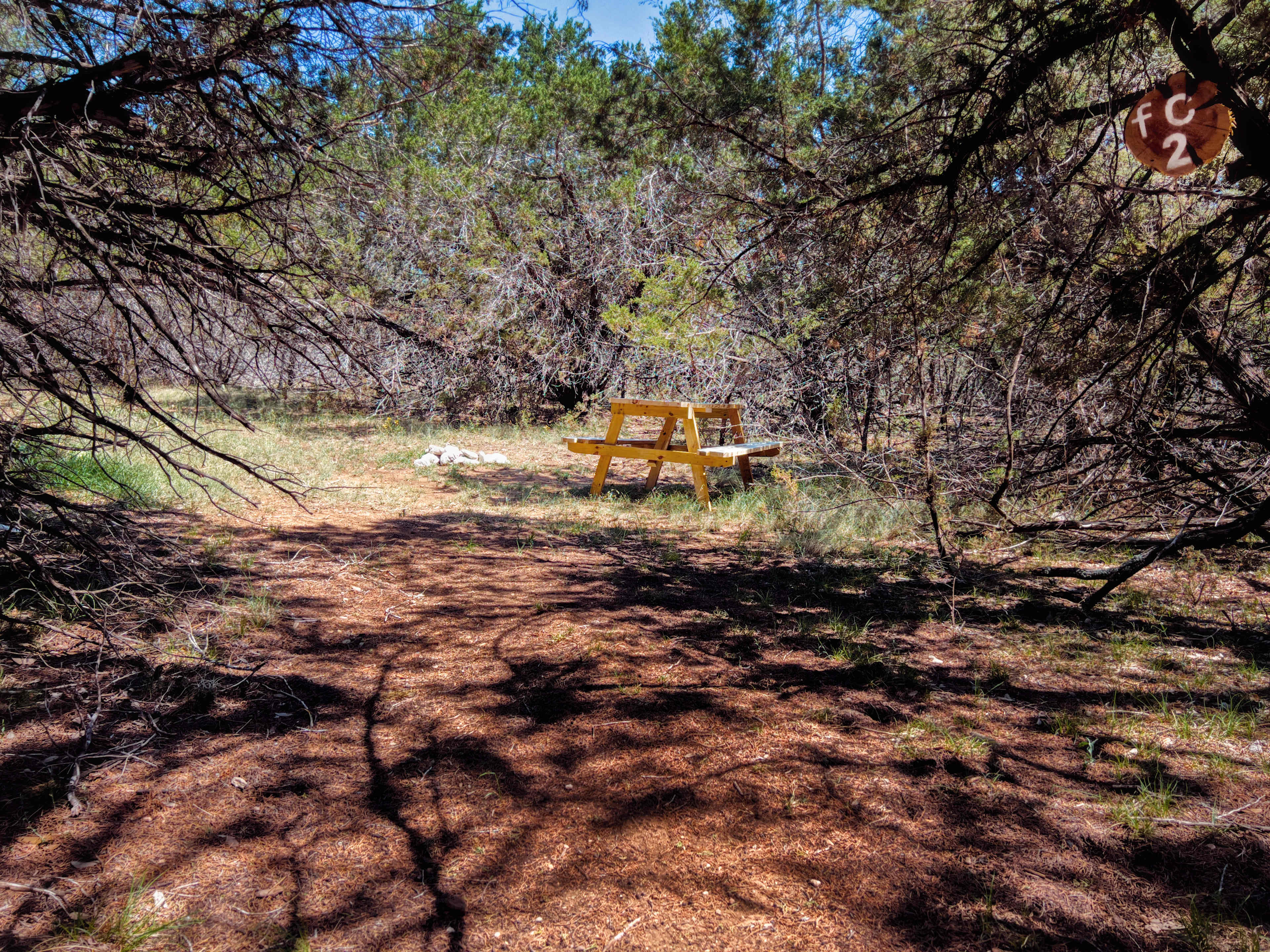 Picture of the site