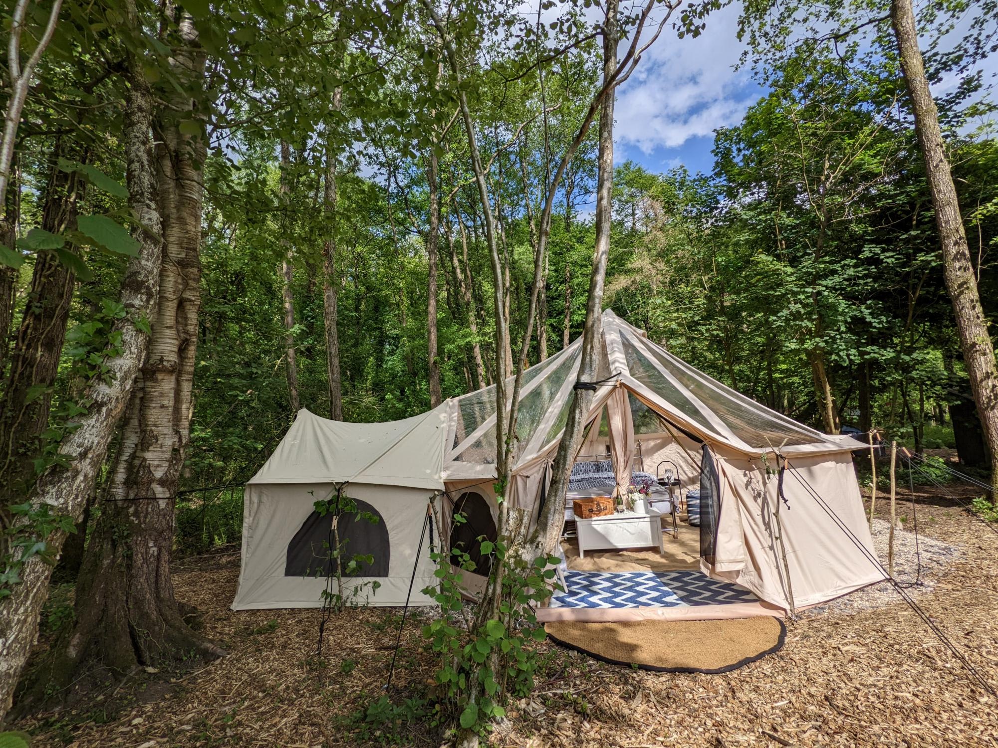 Wytch Wood Camping