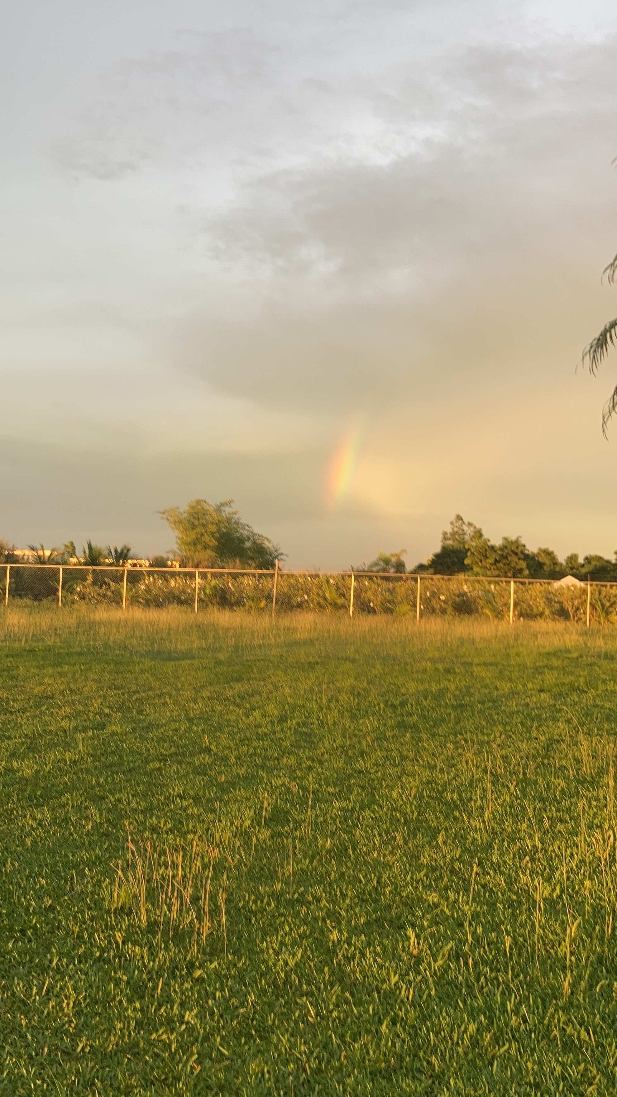 C and M Farm