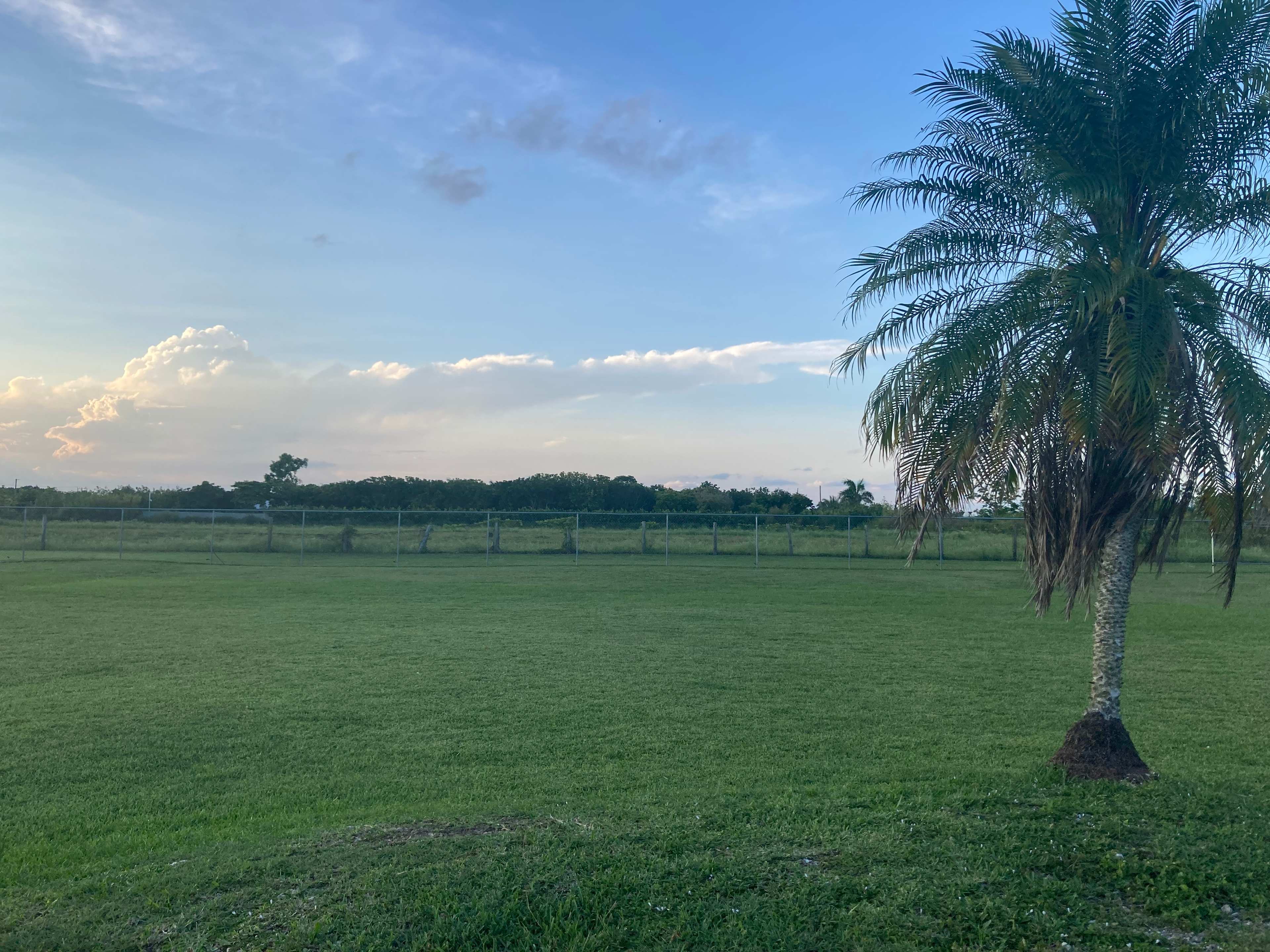 C and M Farm