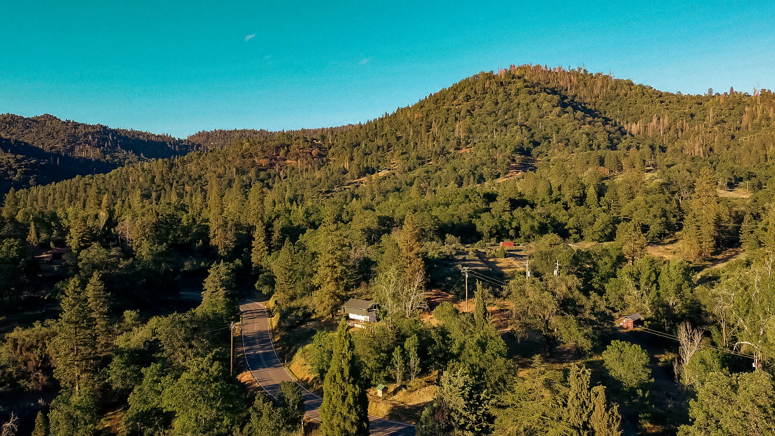 Sequoia Mountain Farms