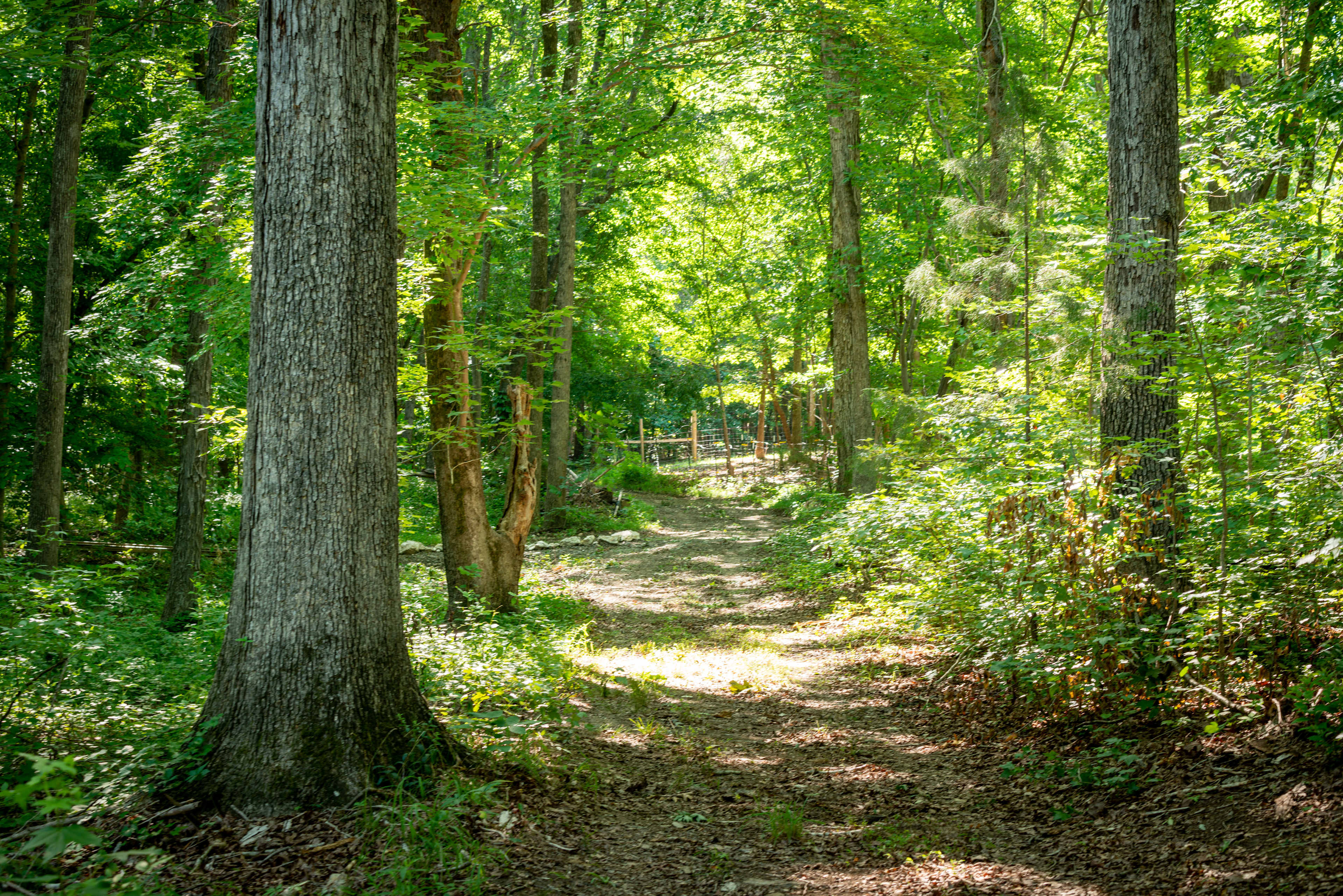 View back to gate entrance