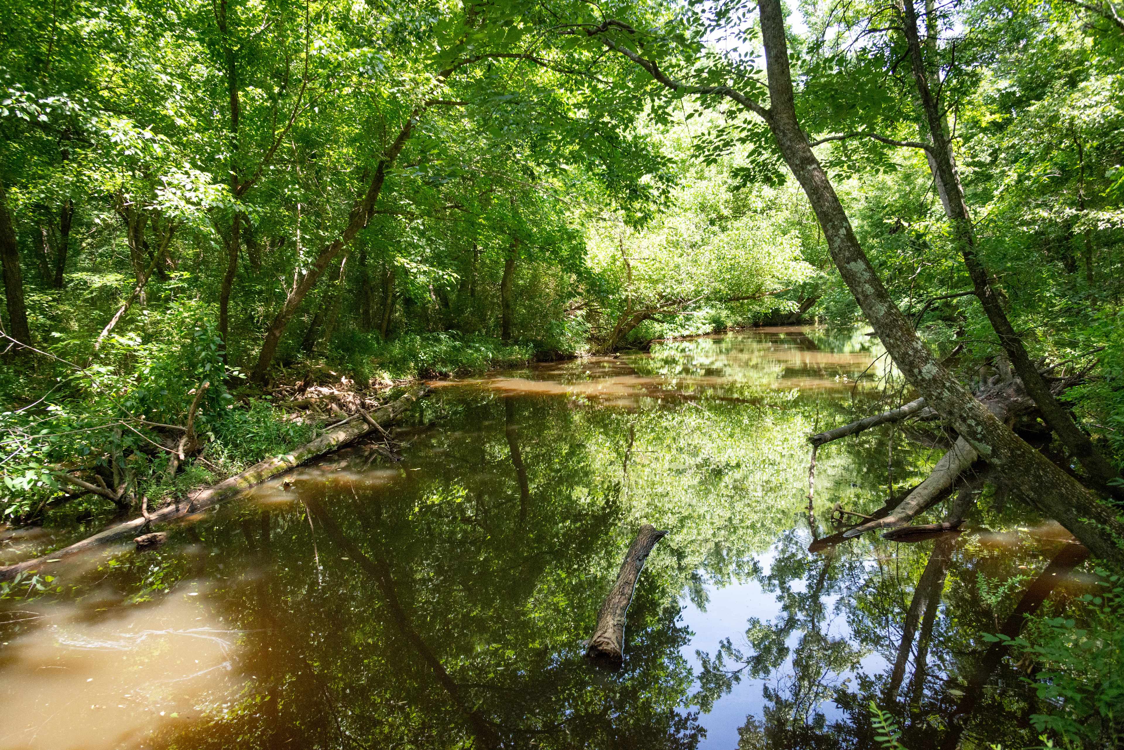 Cane Creek just around the corner