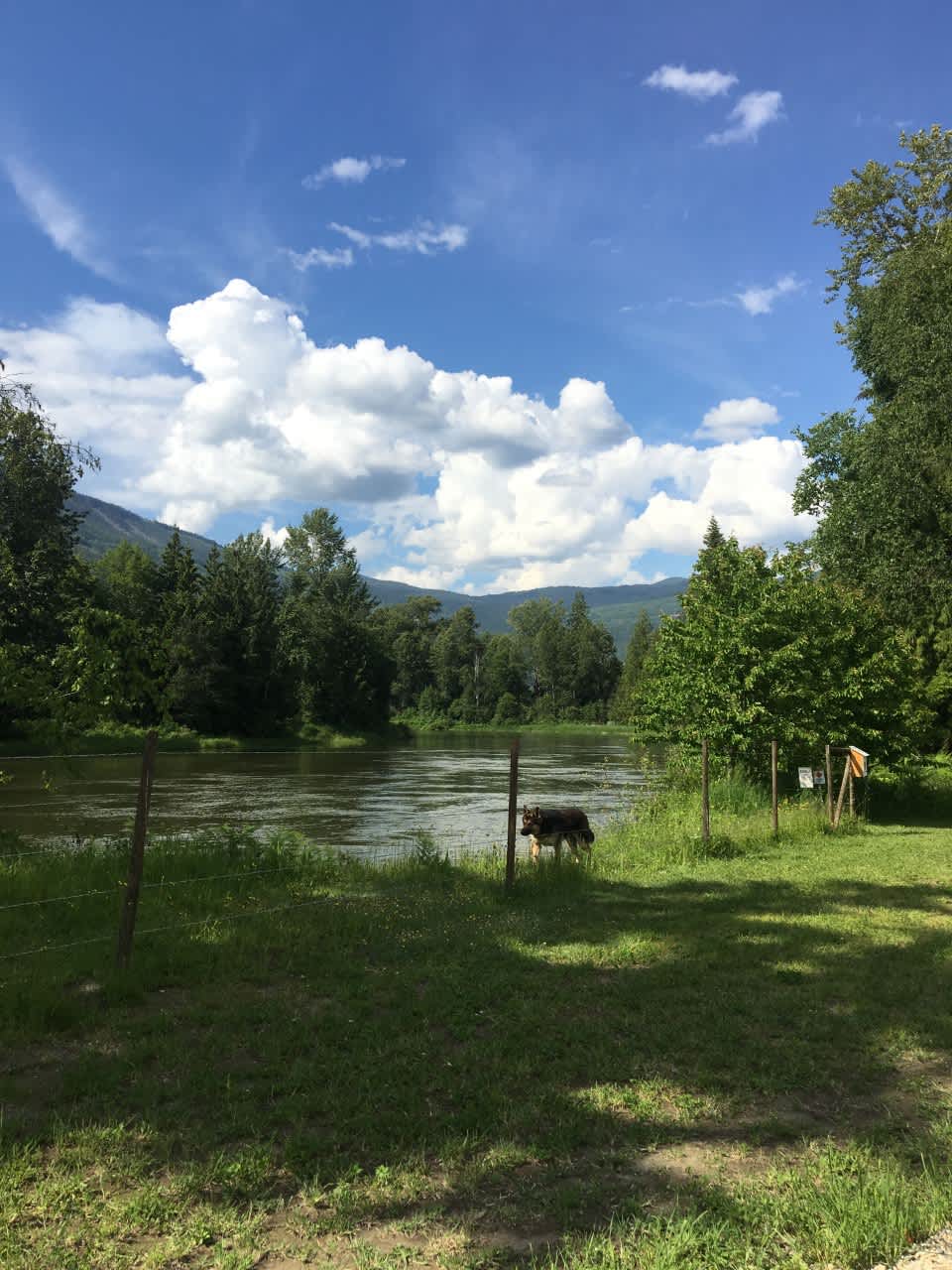 Picture of the site