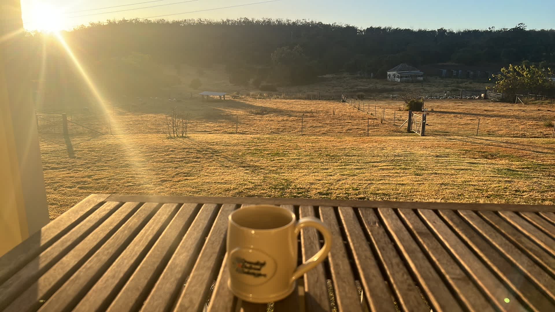 Morning cuppa