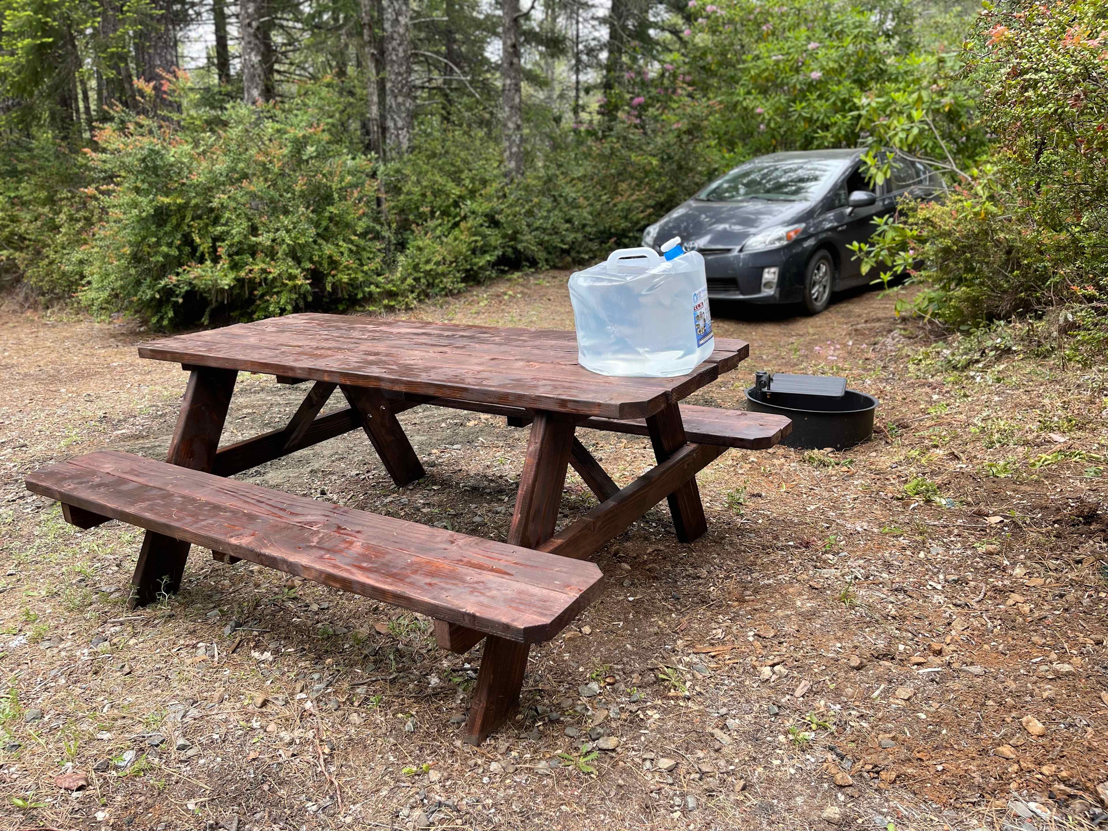 Free Your Mind Camping