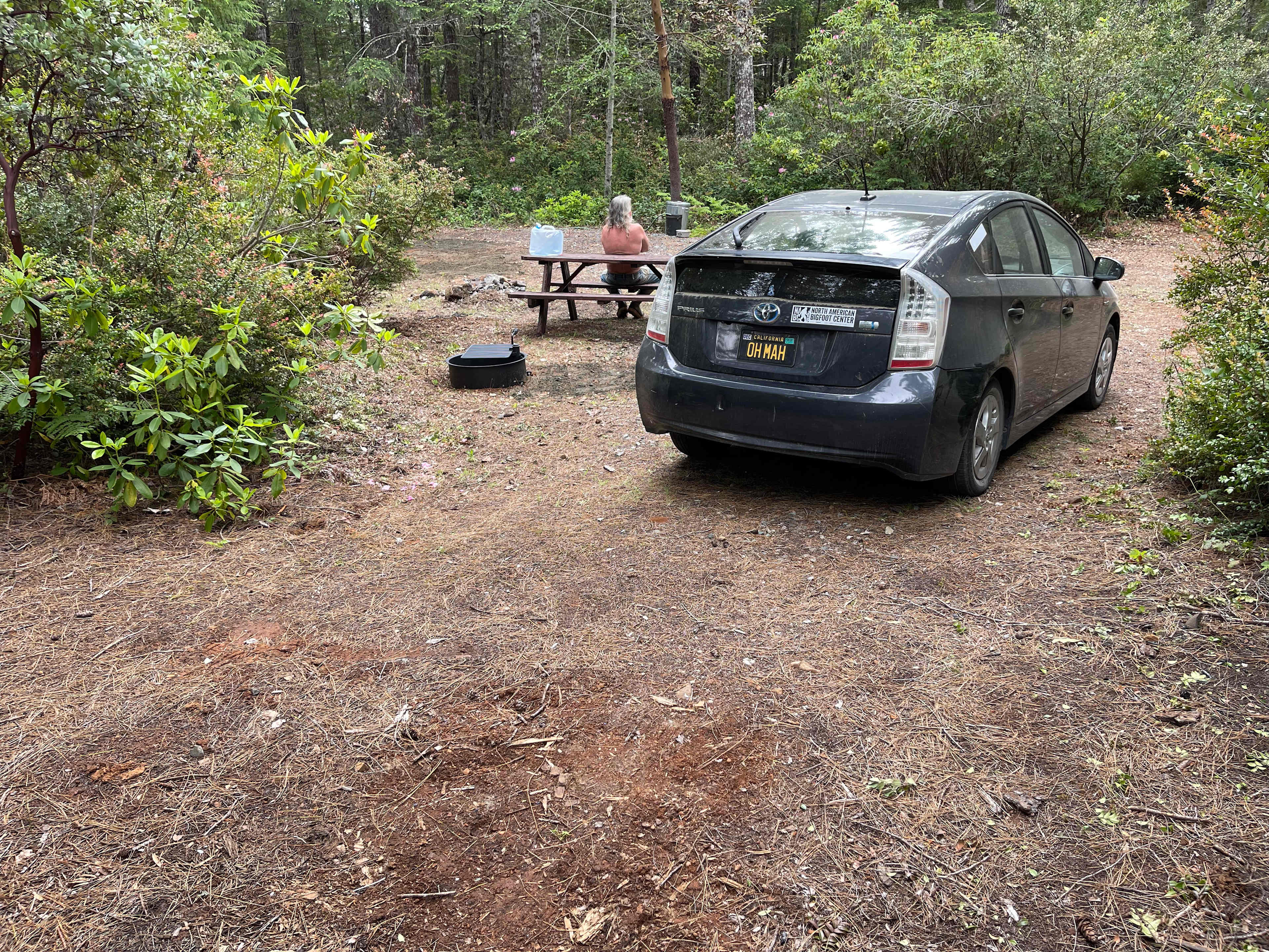 Free Your Mind Camping