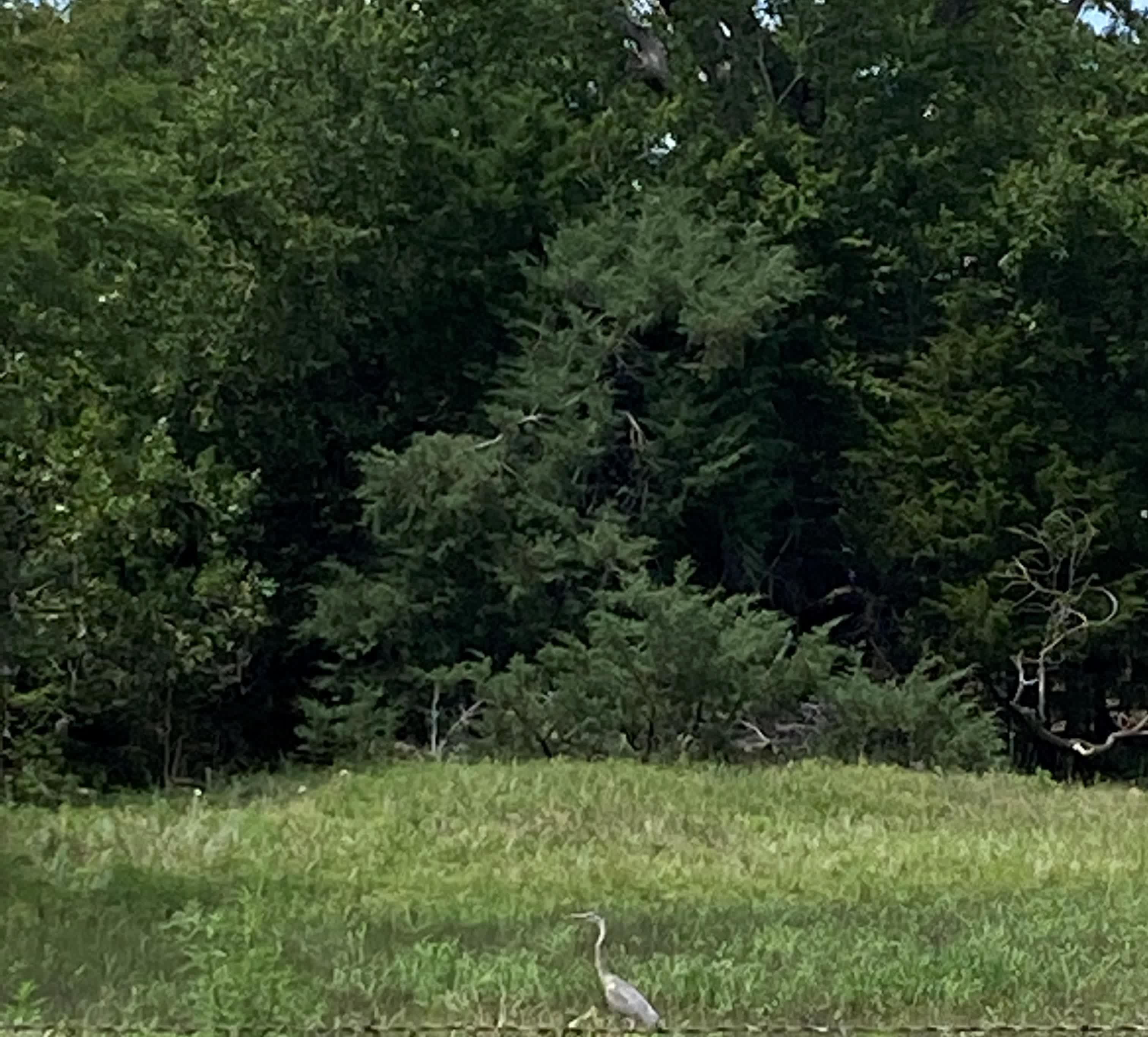 Birdhouse.Farm