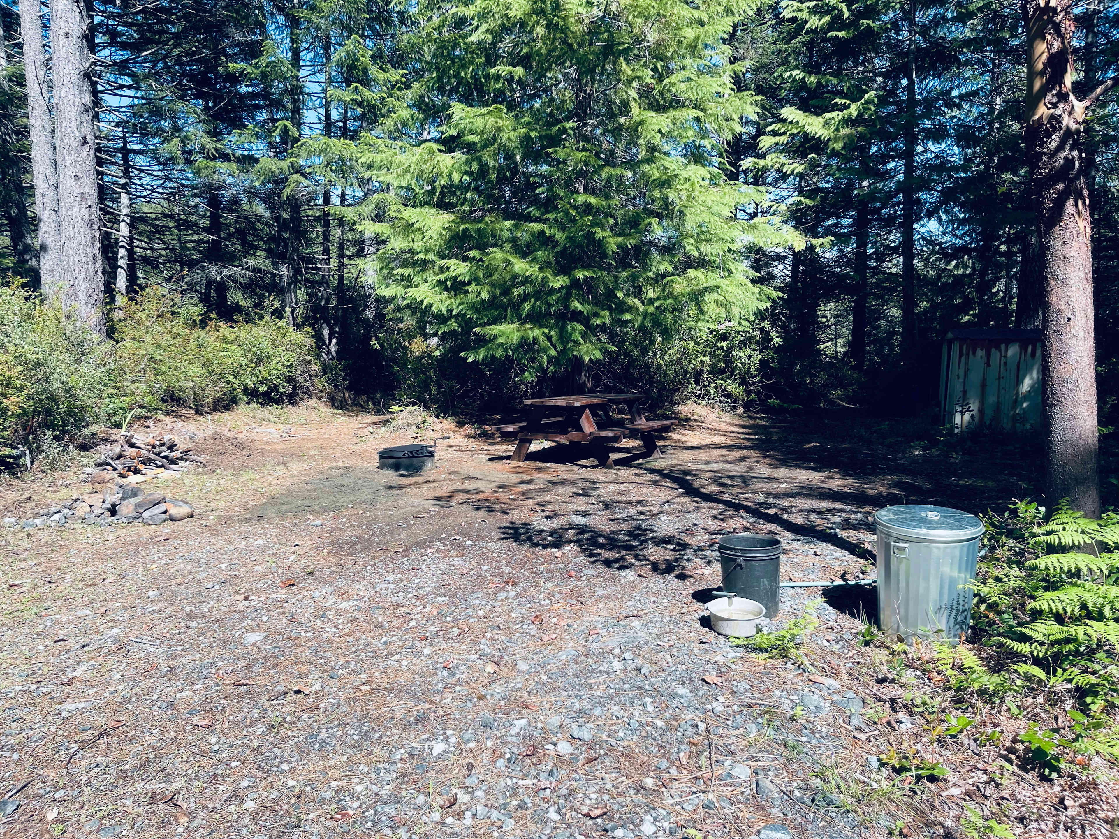 Picture of the site