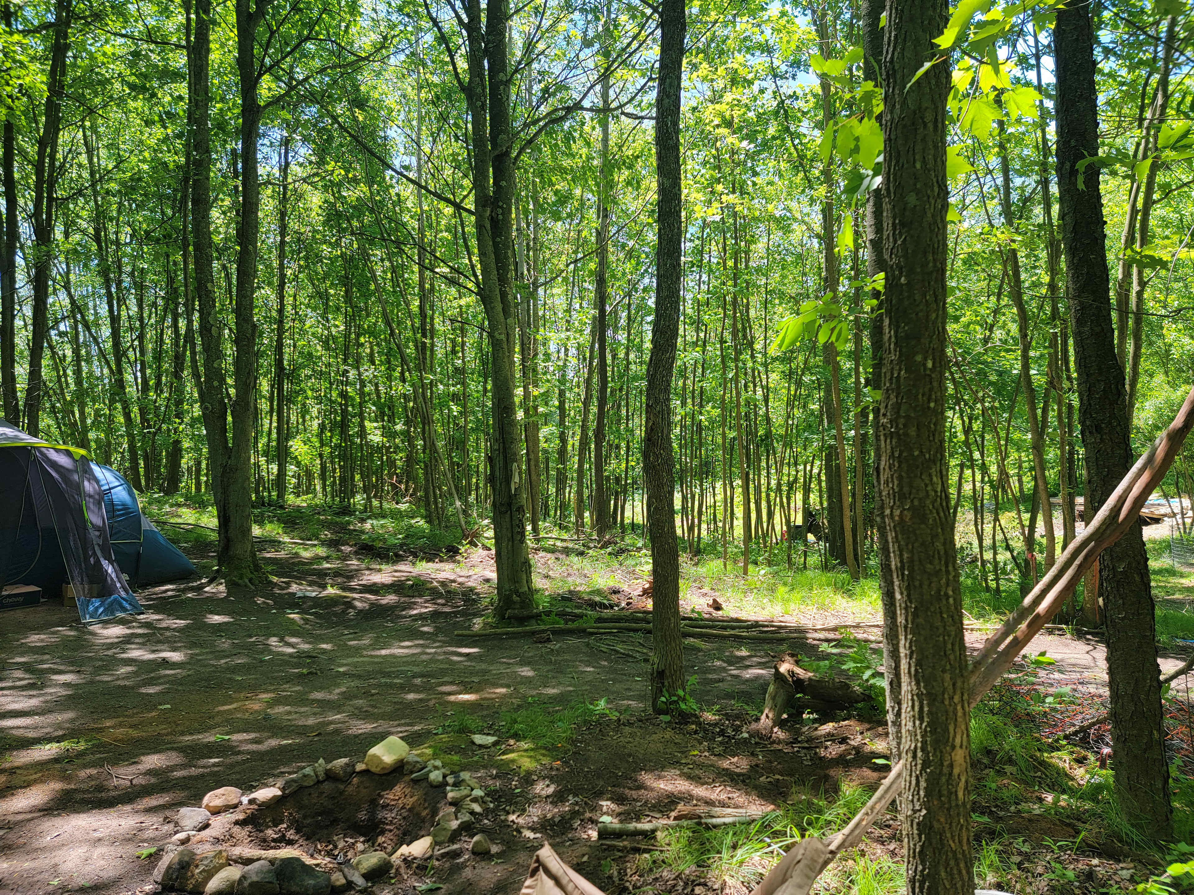 Picture of the site