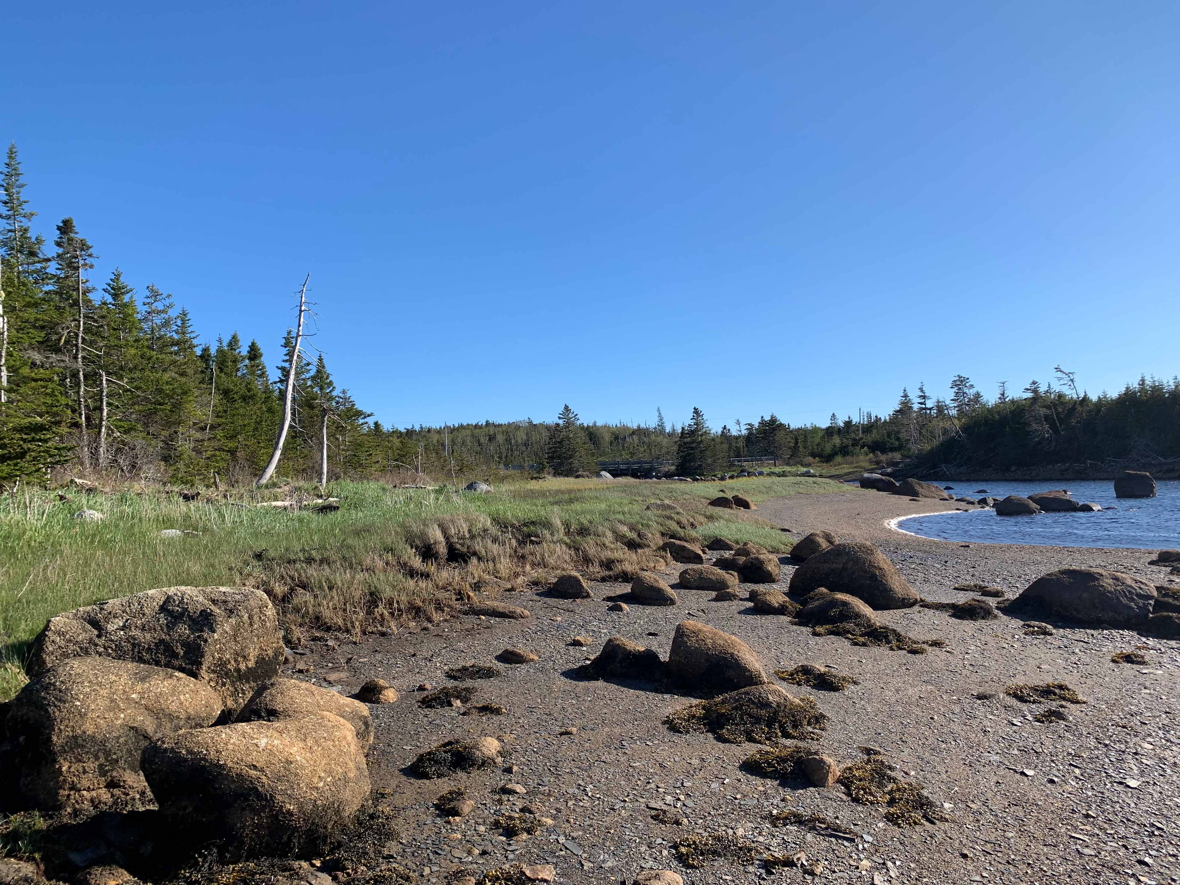 Tide out 