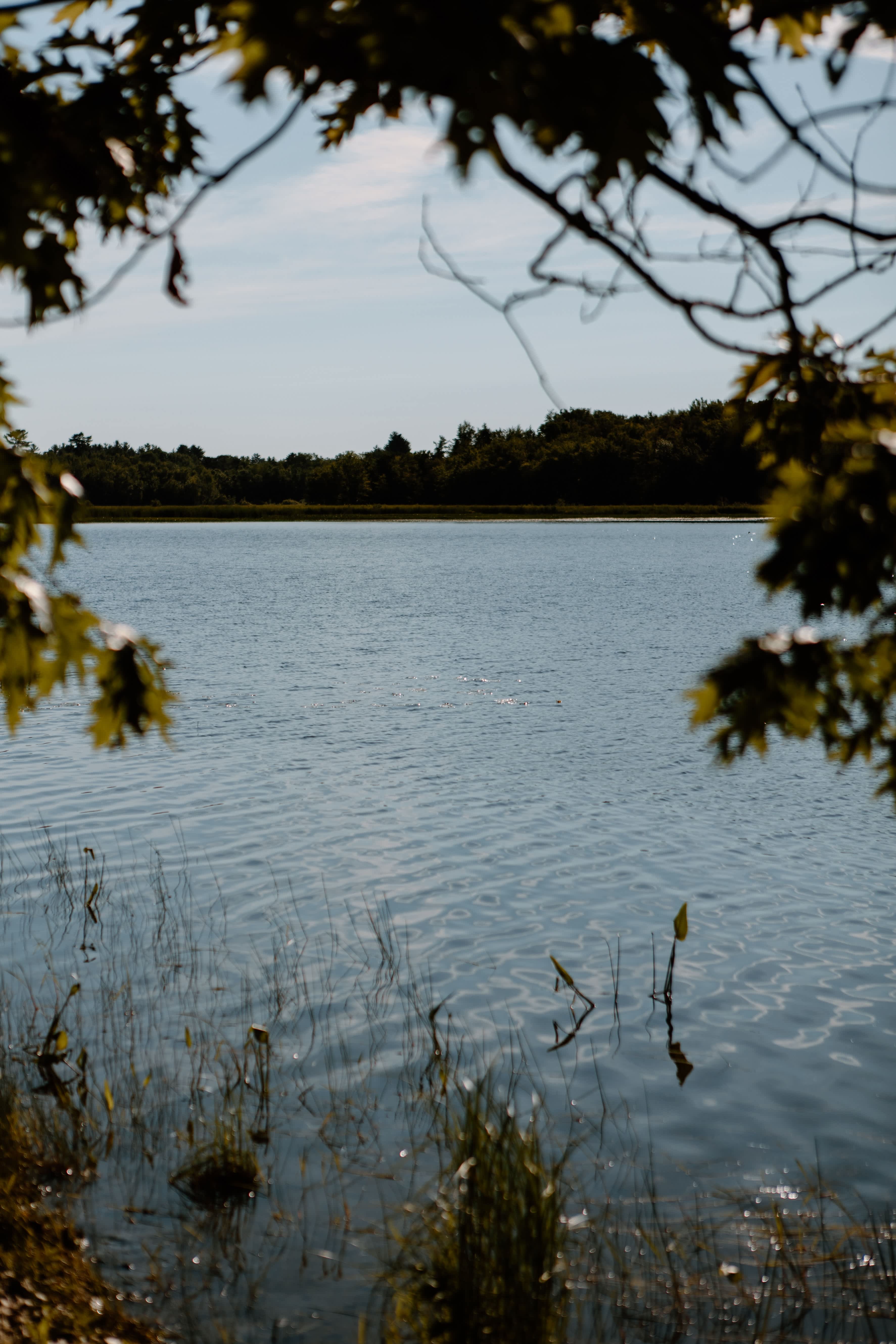 Lots of lake access