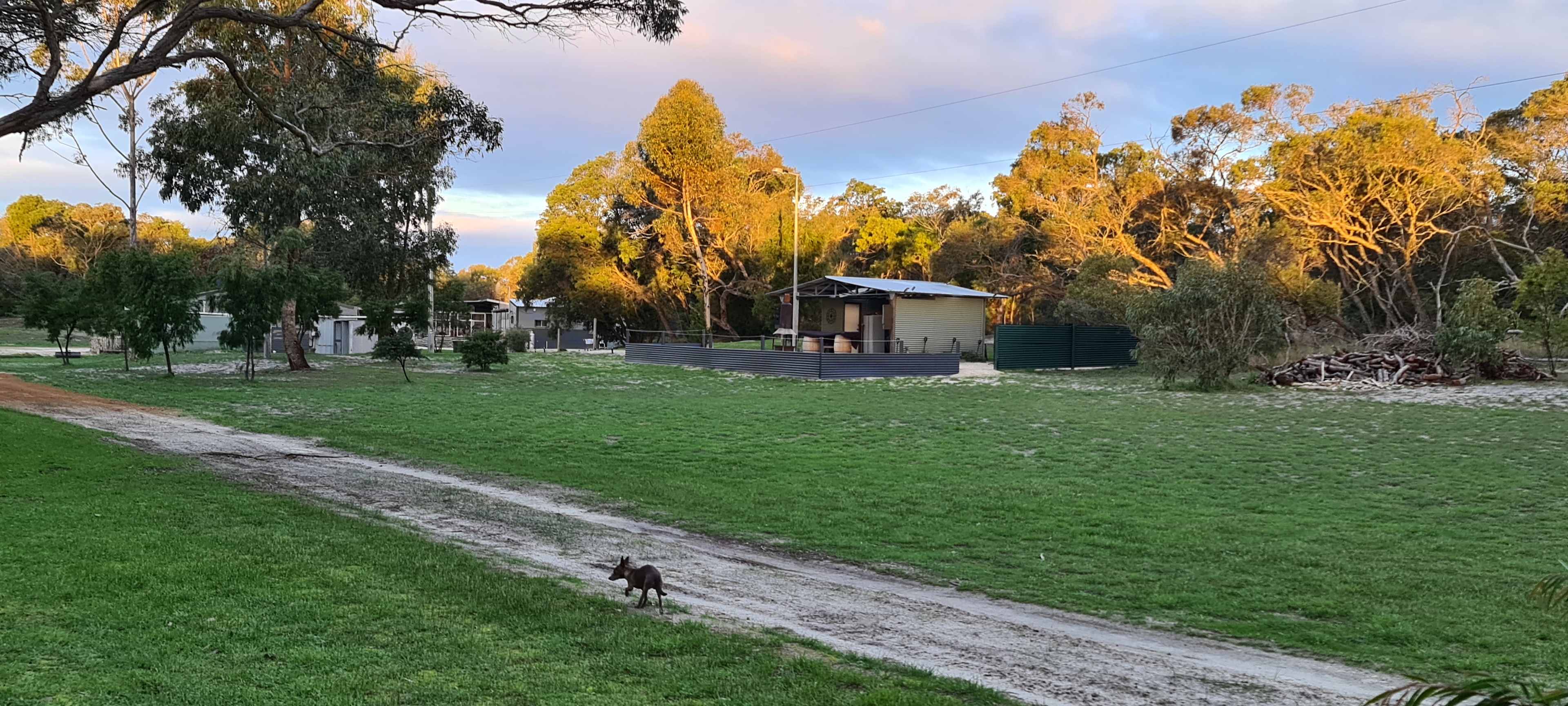 Toolibut Bush Camp 