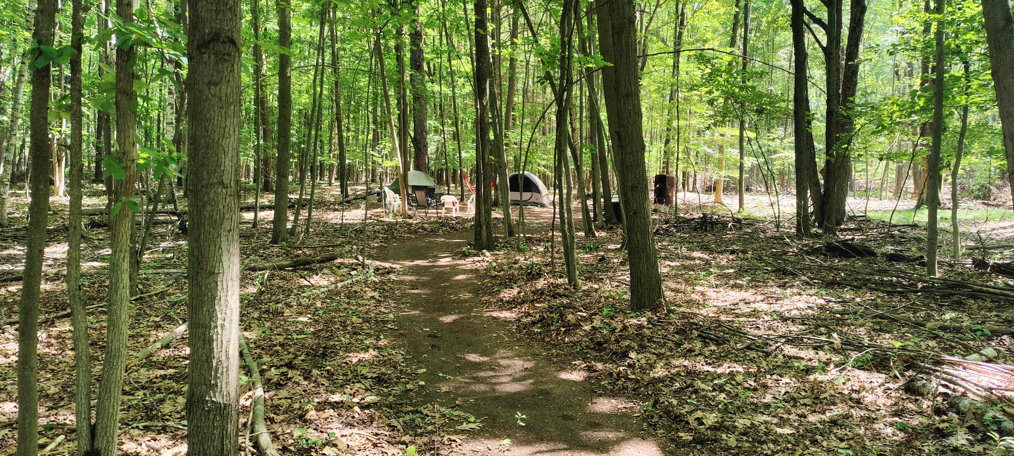 Fröhlich Woods