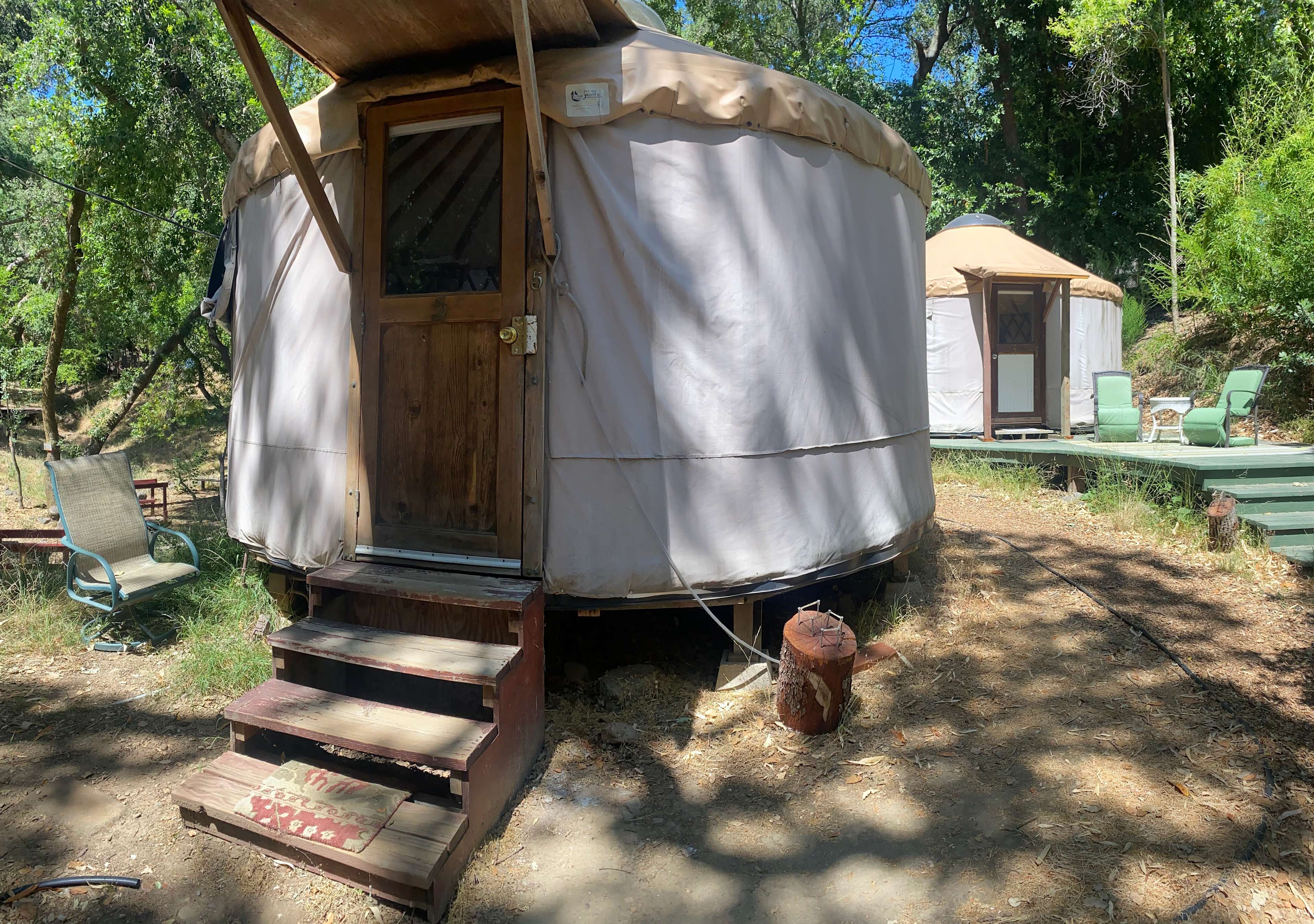 Lupin Lodge