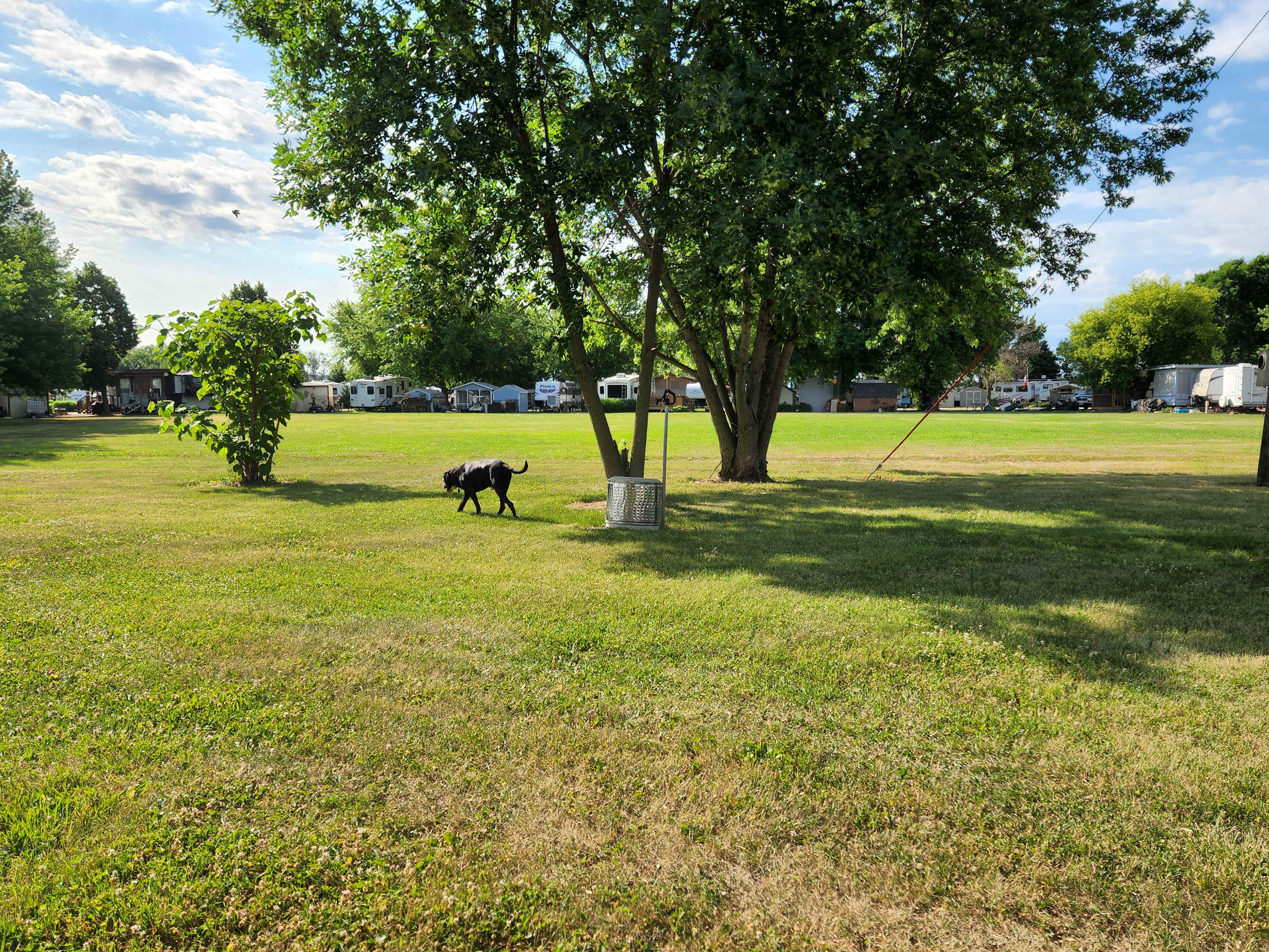 Dispersed tent area. Pets are welcome but please keep on leash