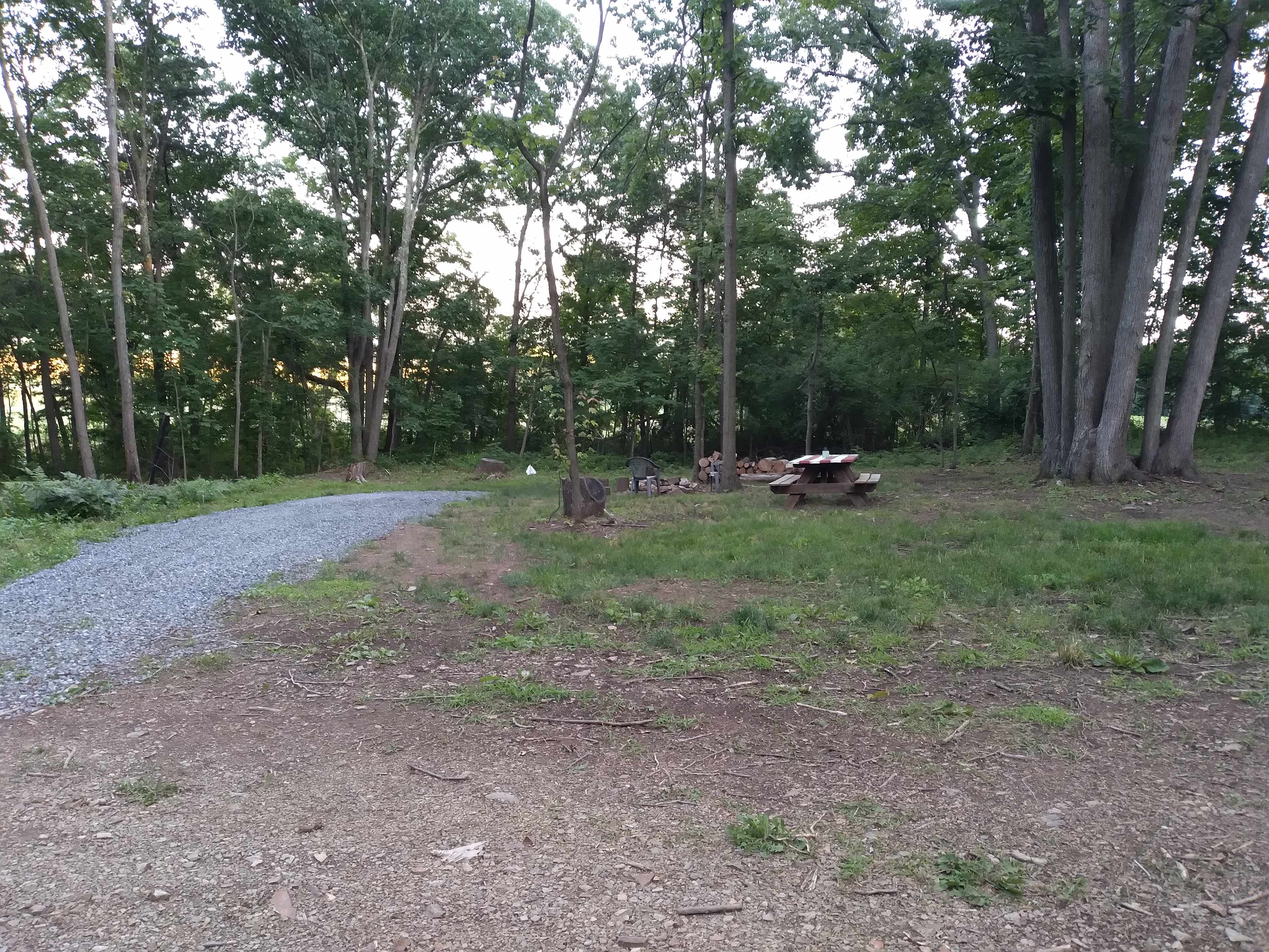 Picture of the site