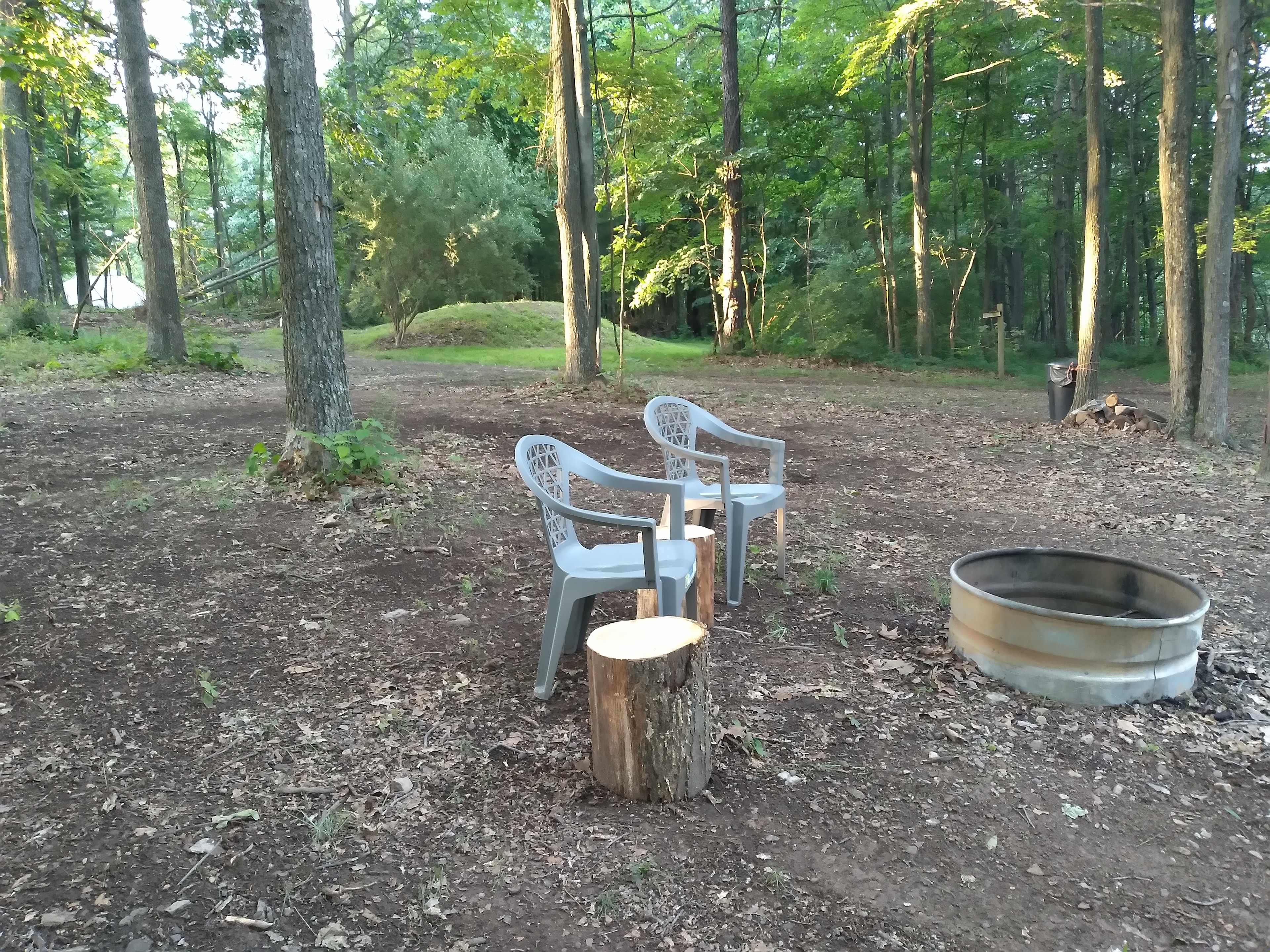 Picture of the site