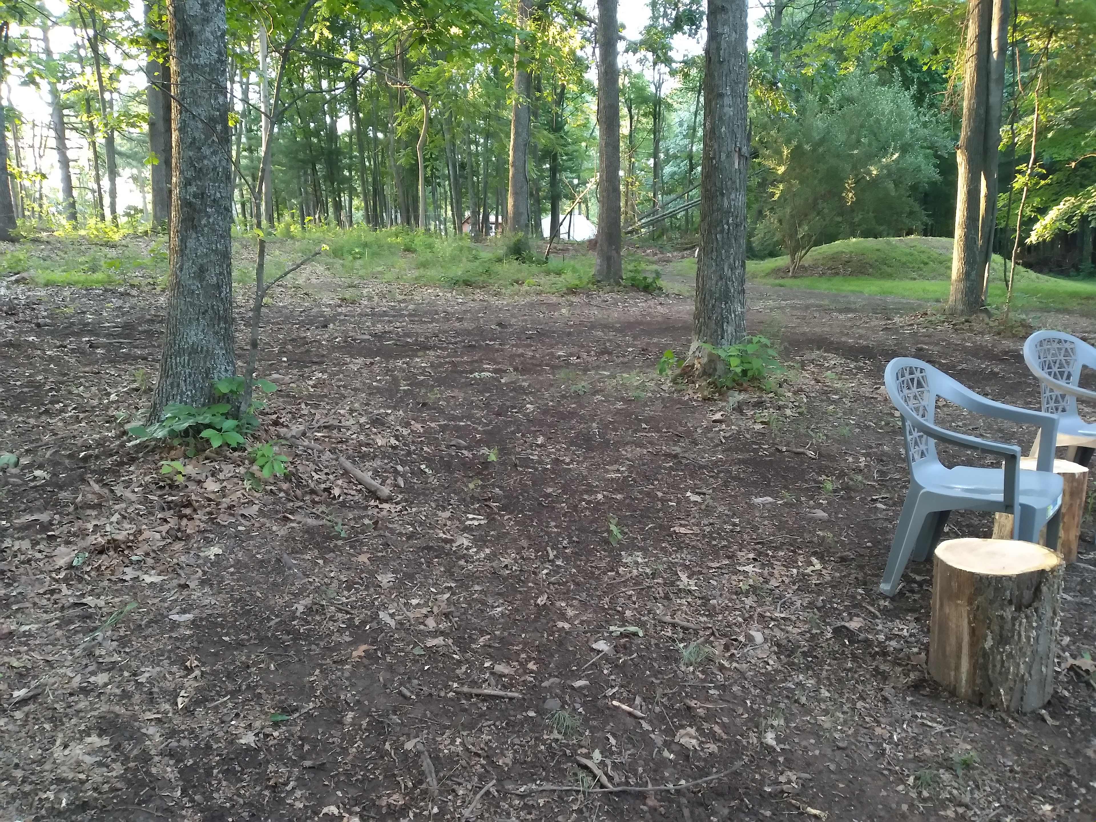 Picture of the site