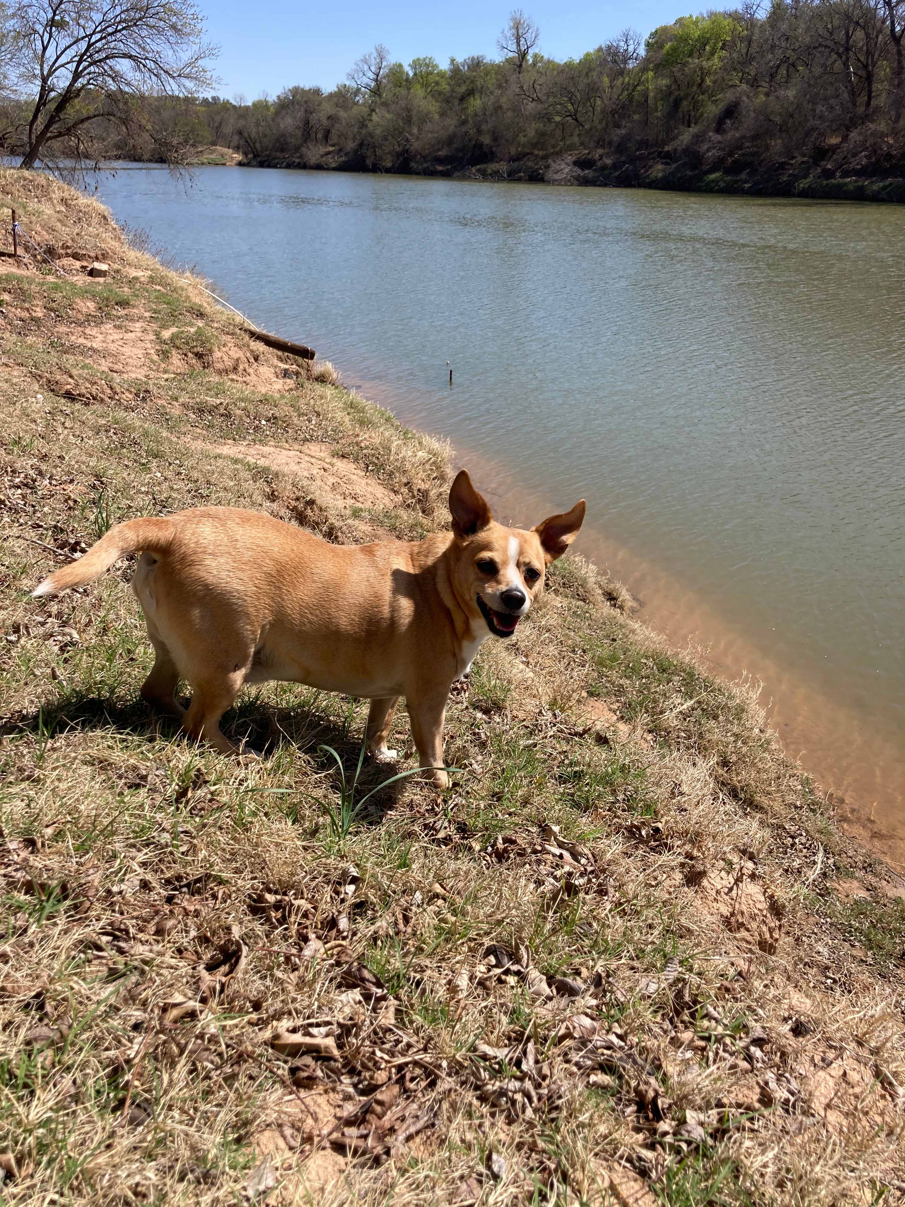 Sandy Bottoms River Company