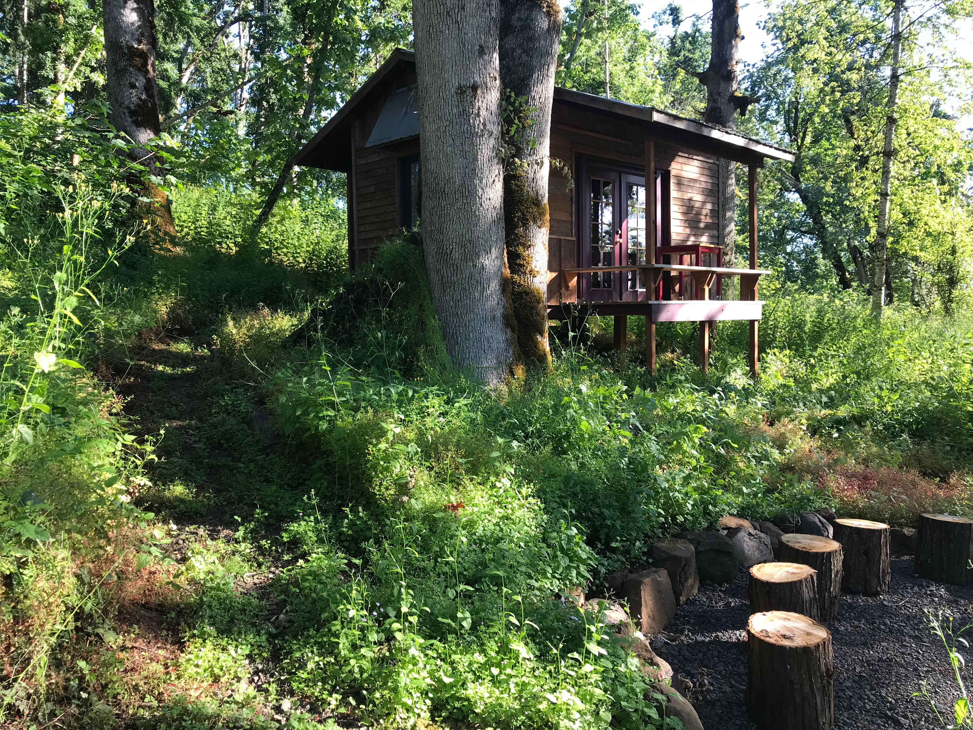 Picture of the site