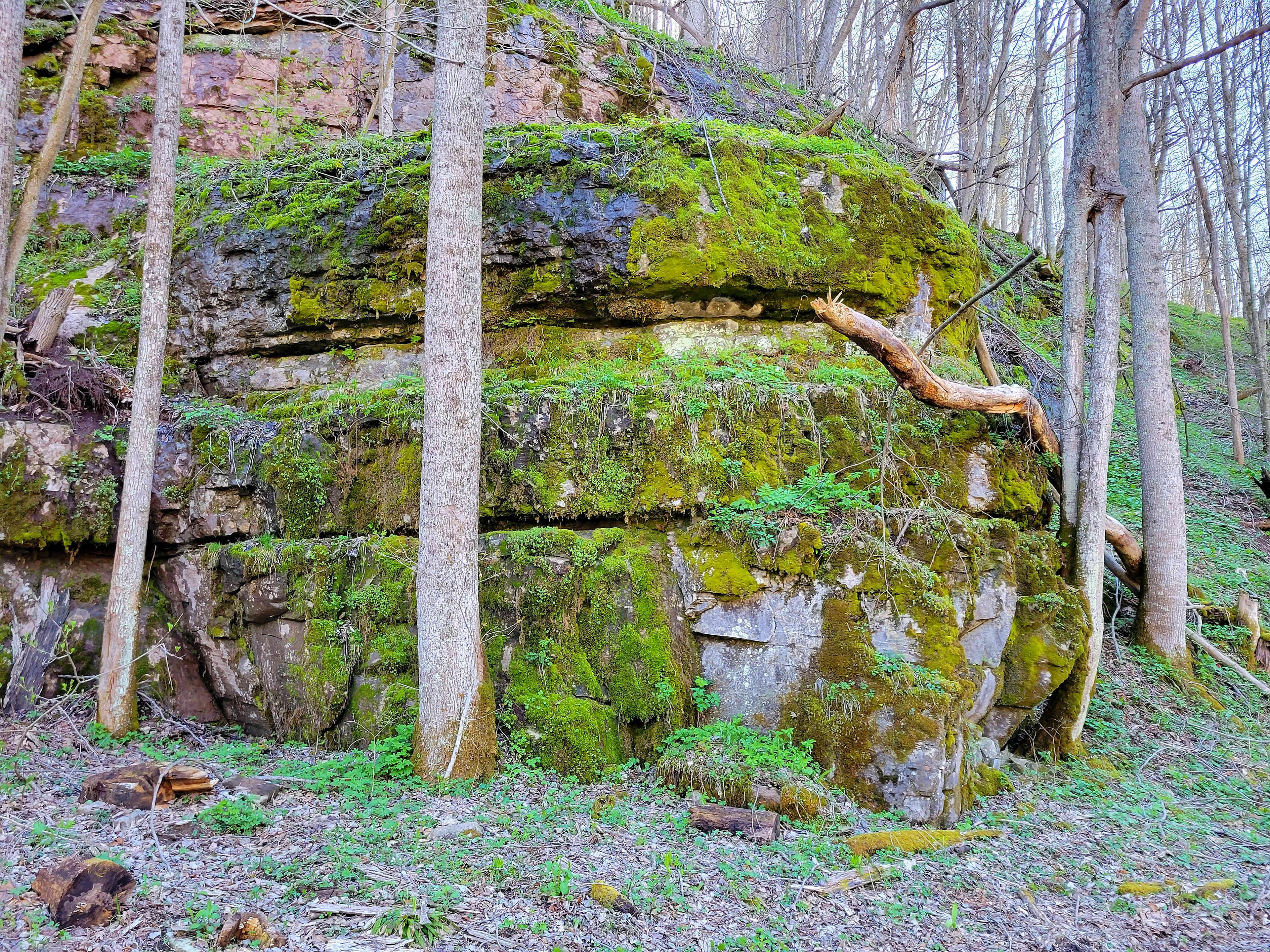 Picture of the site