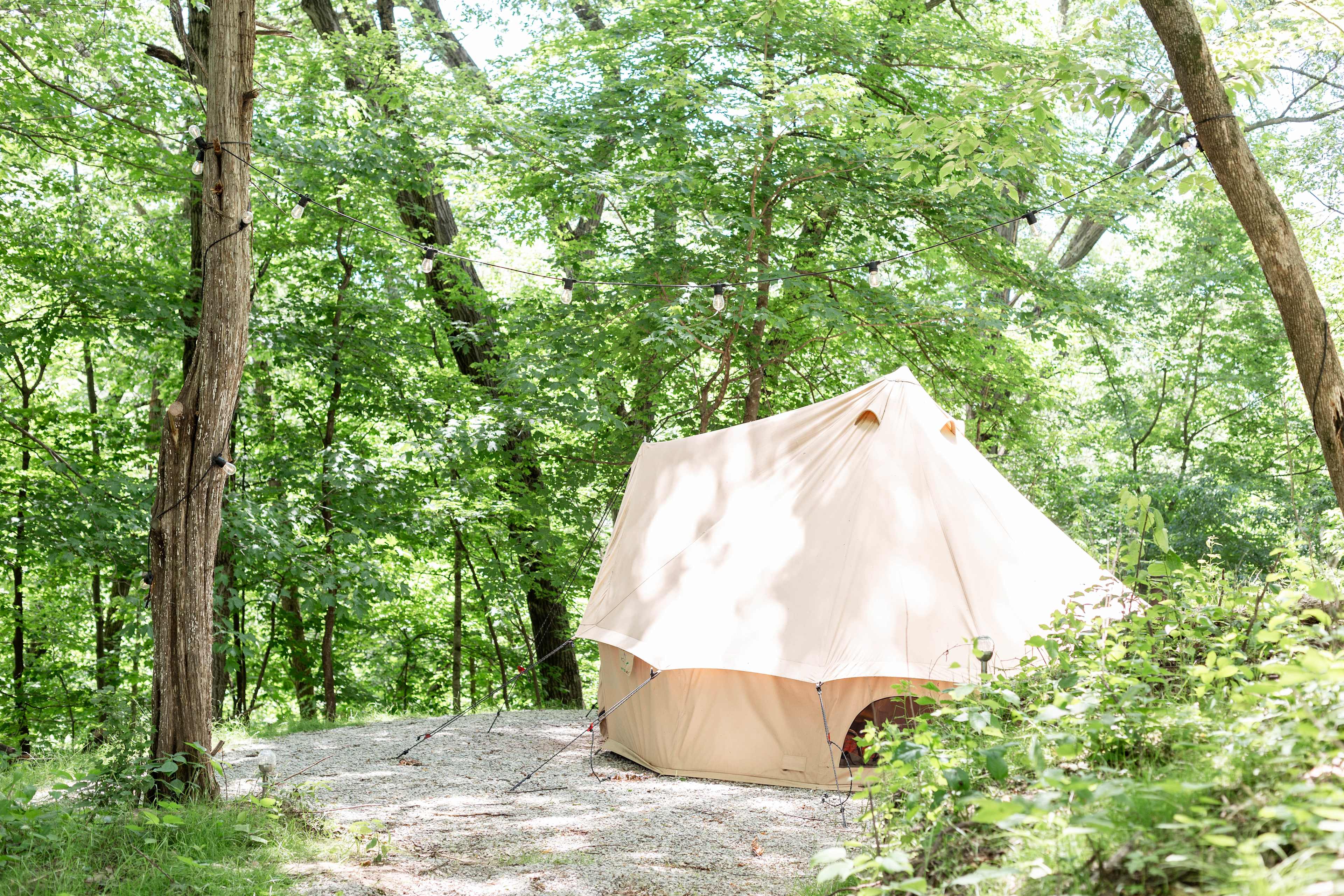 Hidden Spring Hideaway - Glamping