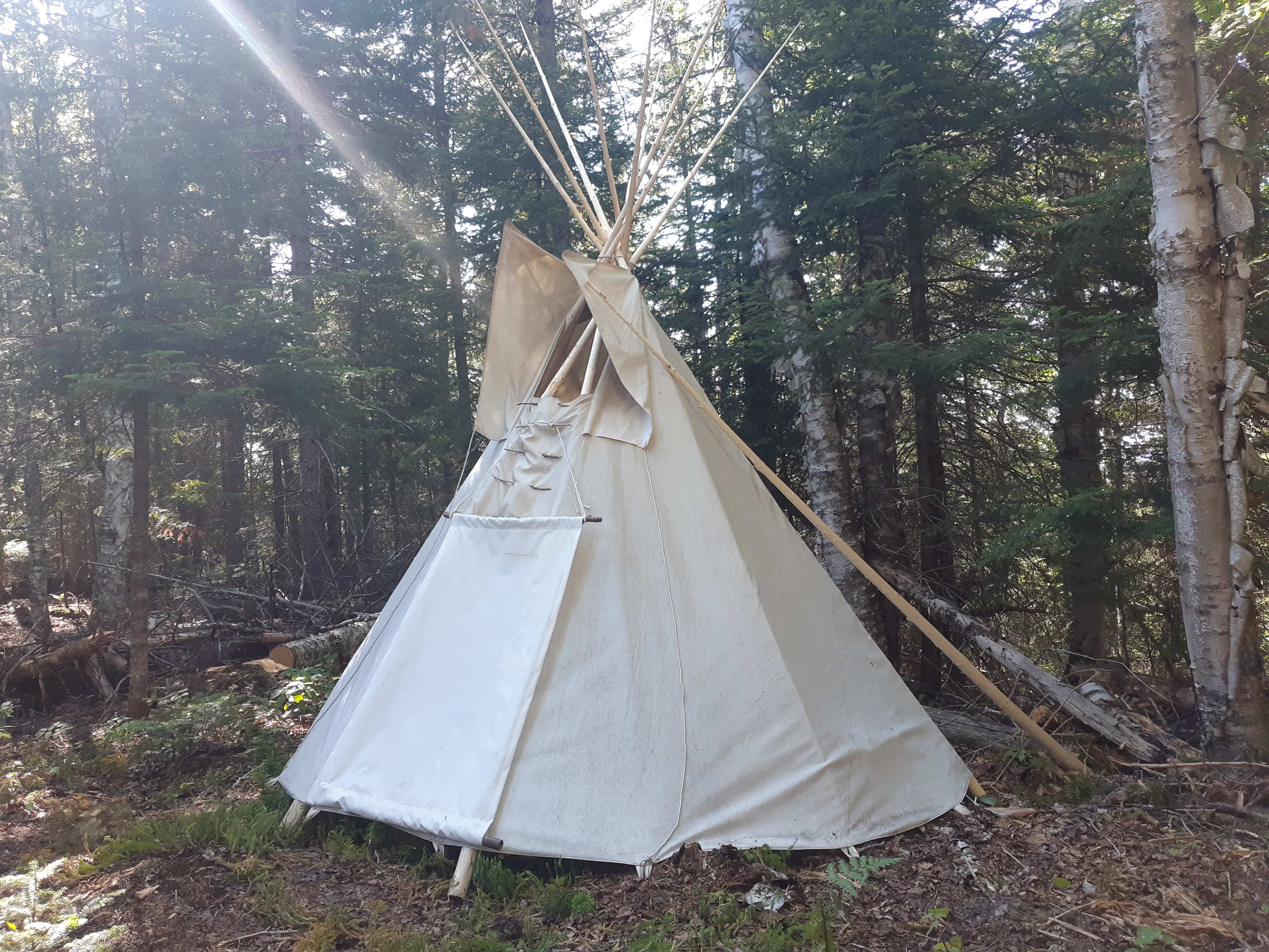 Picture of the site