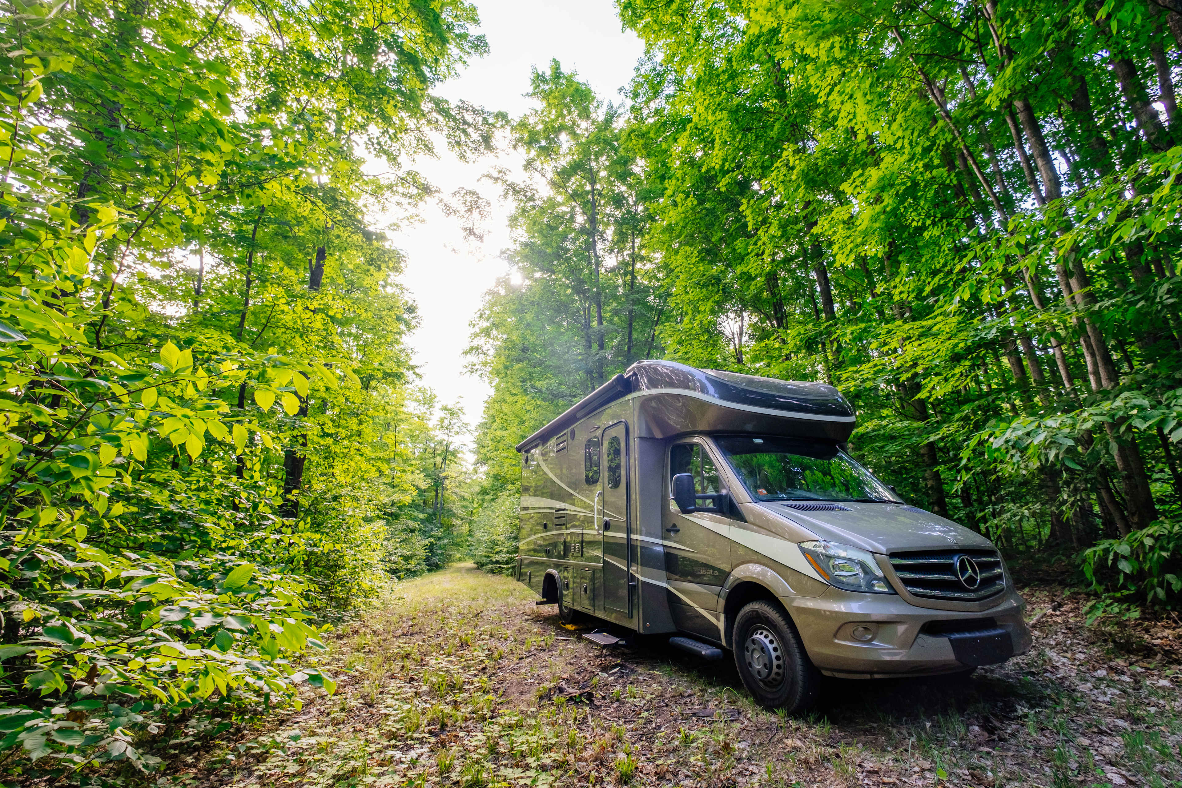 The RV site