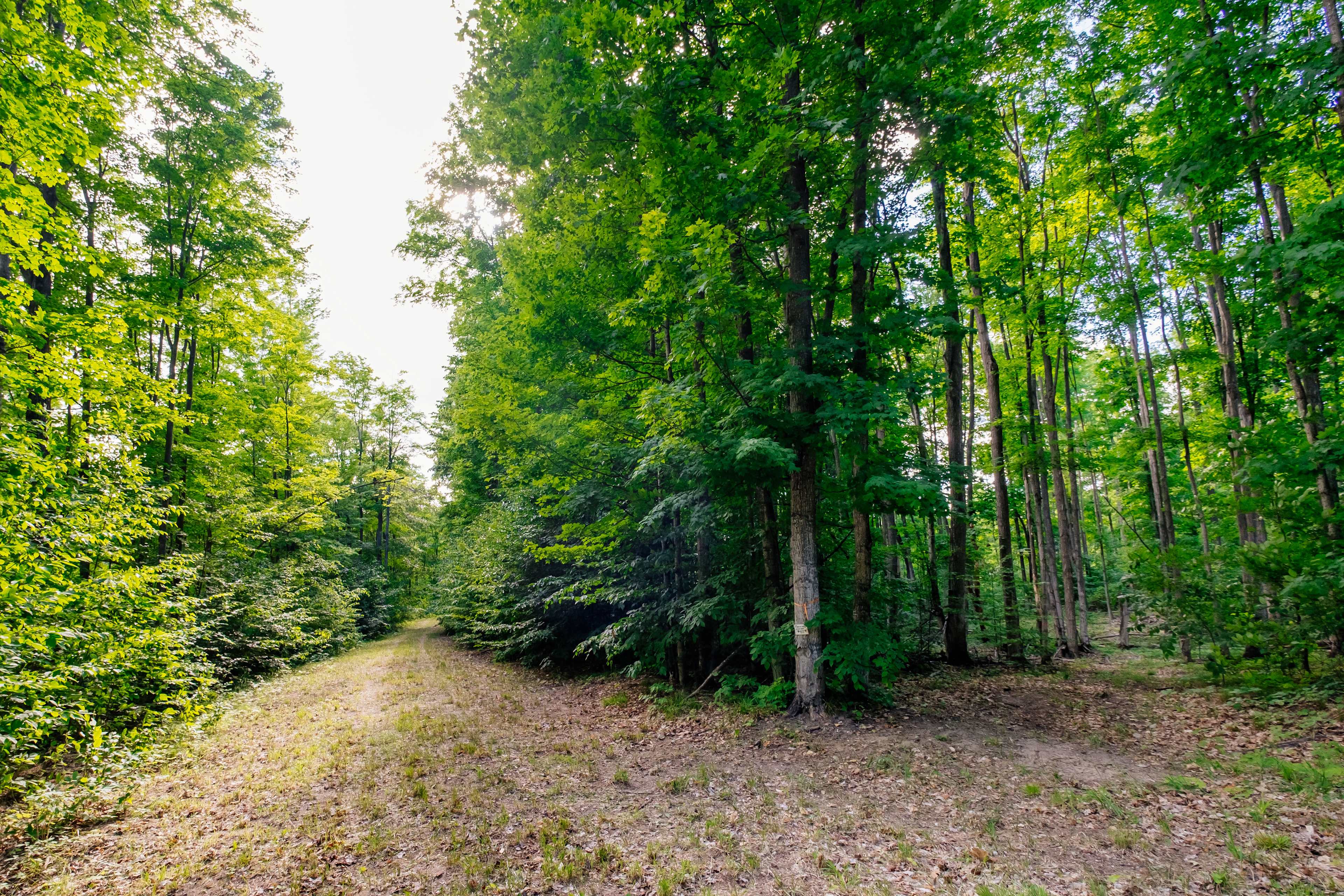 Entrance path and turn to tent site