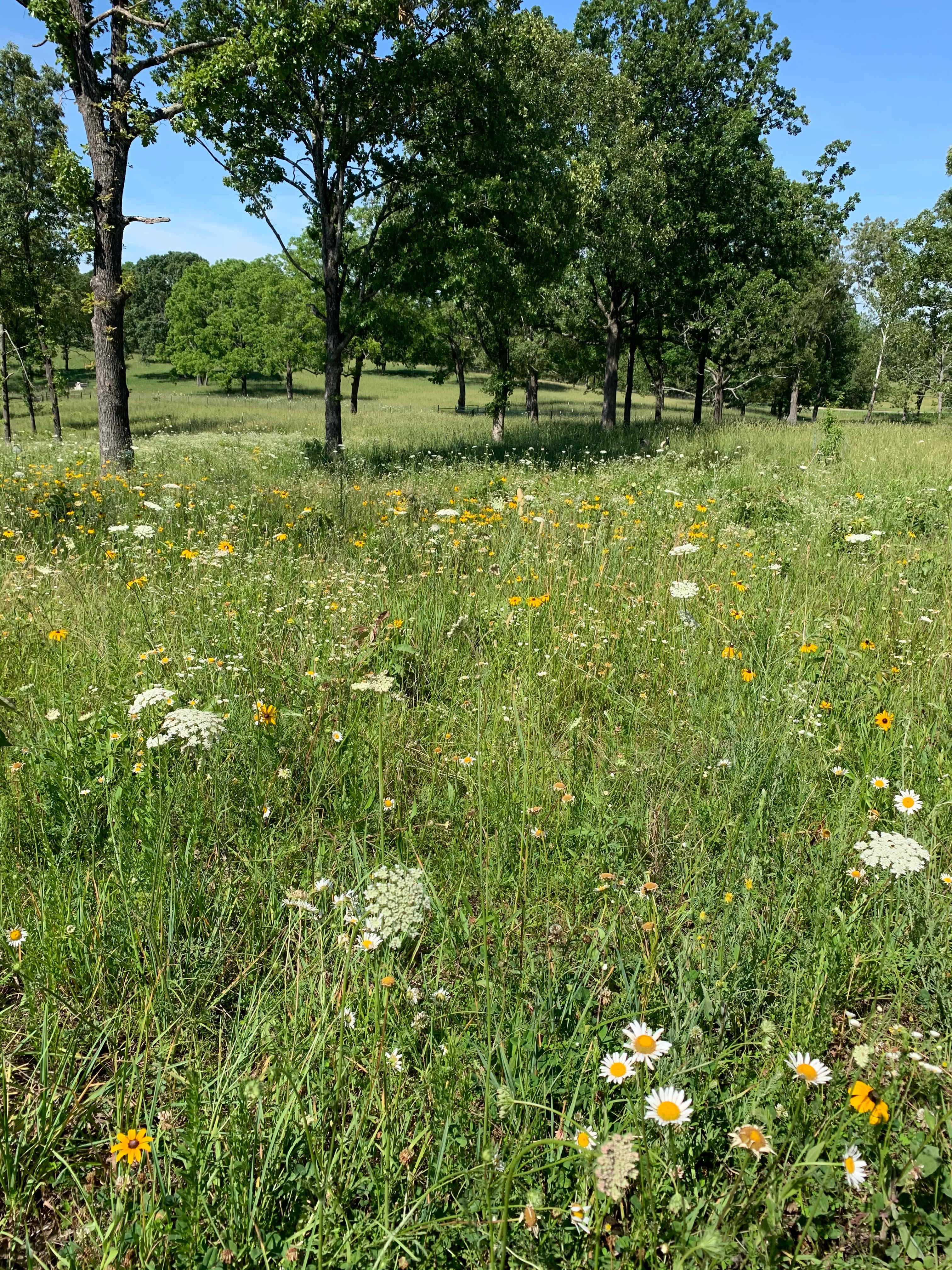 Walnut Valley Farm