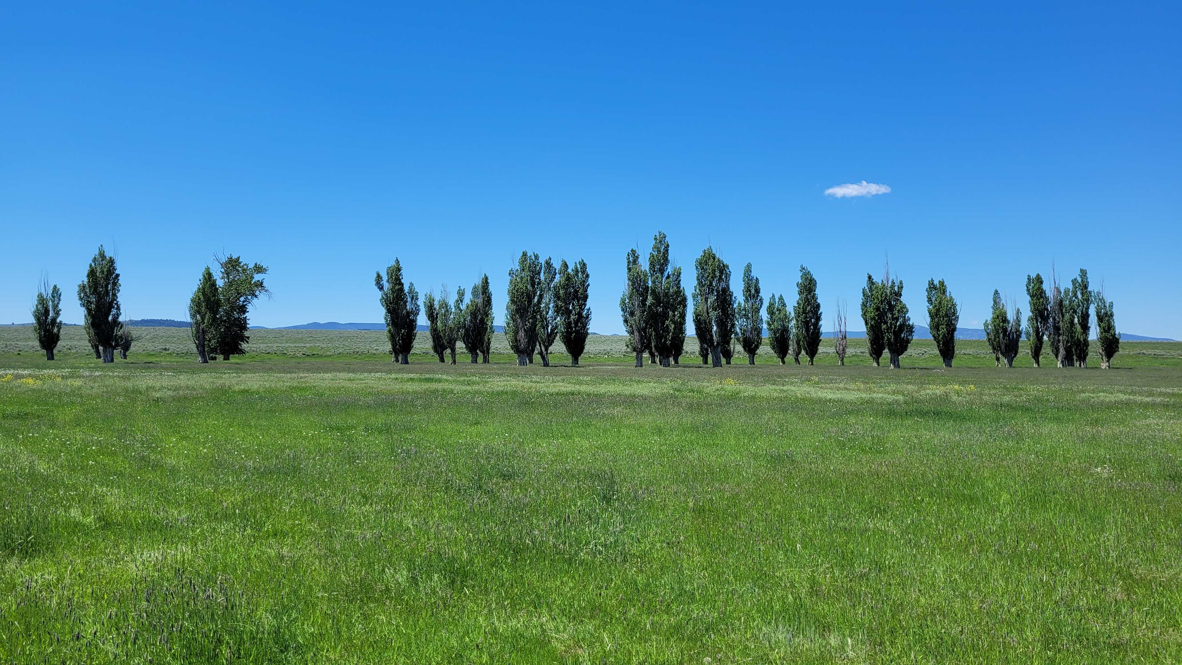 Feel free to park and camp in the Poplars