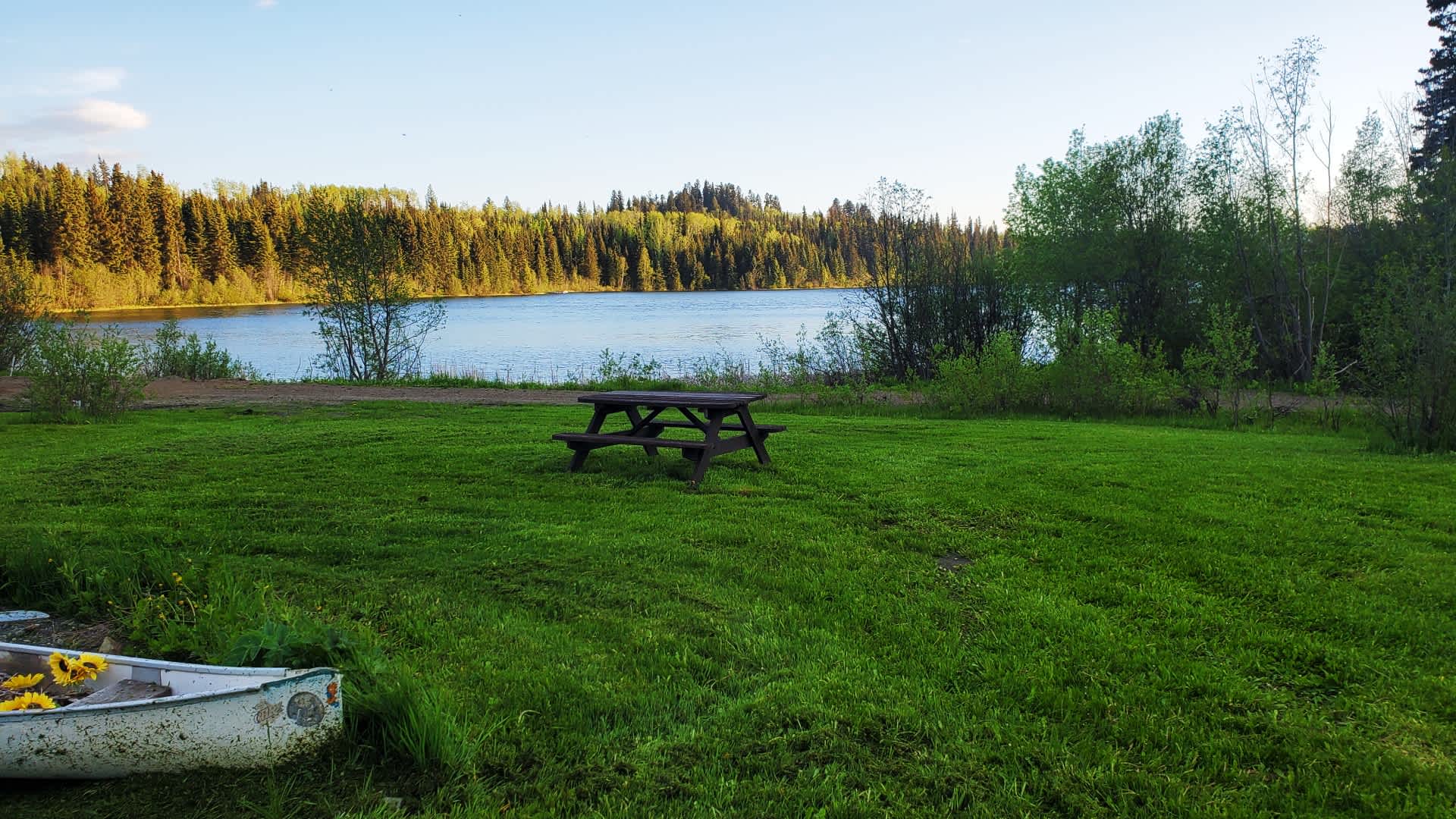 Picture of the site