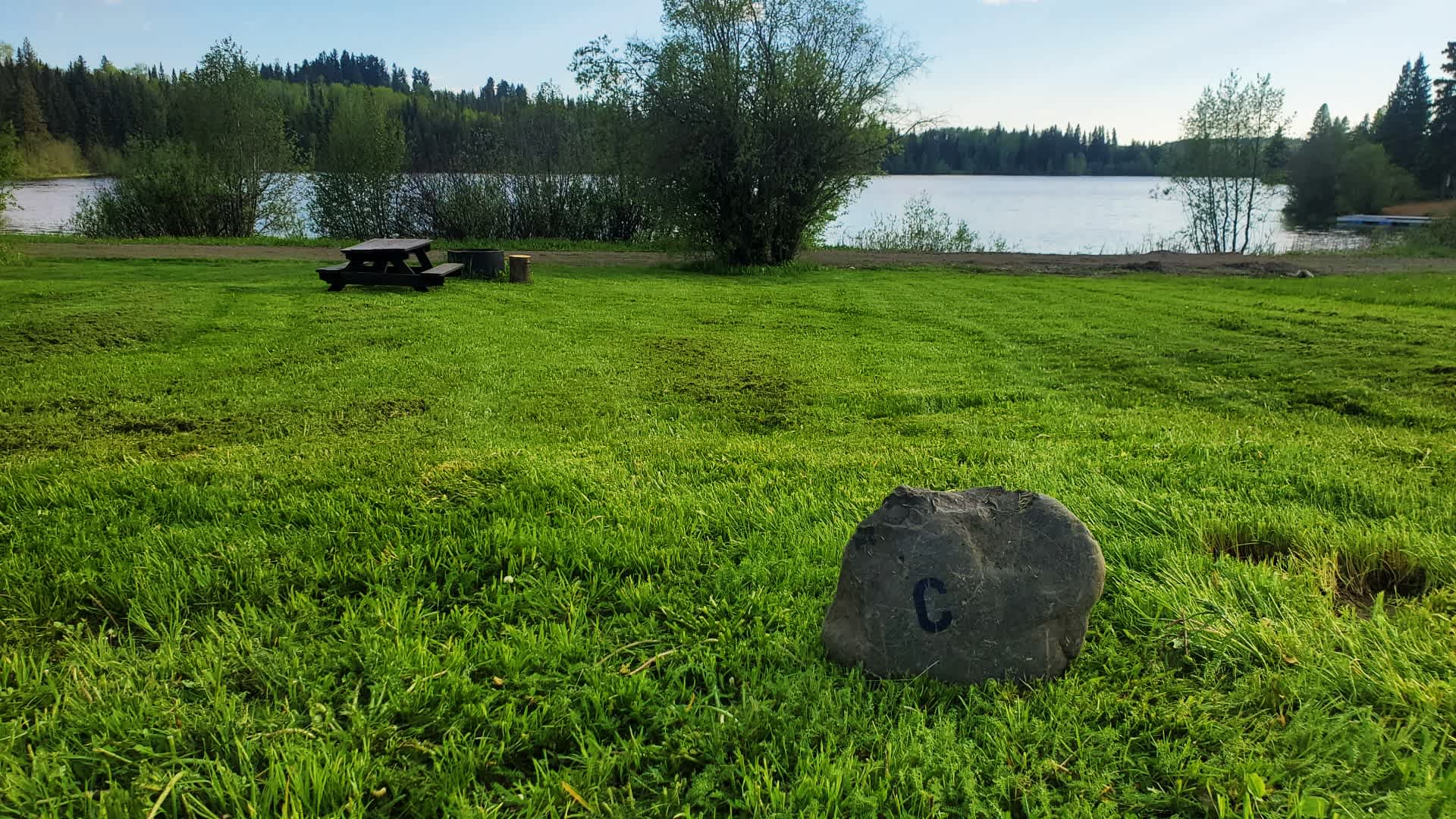 Picture of the site