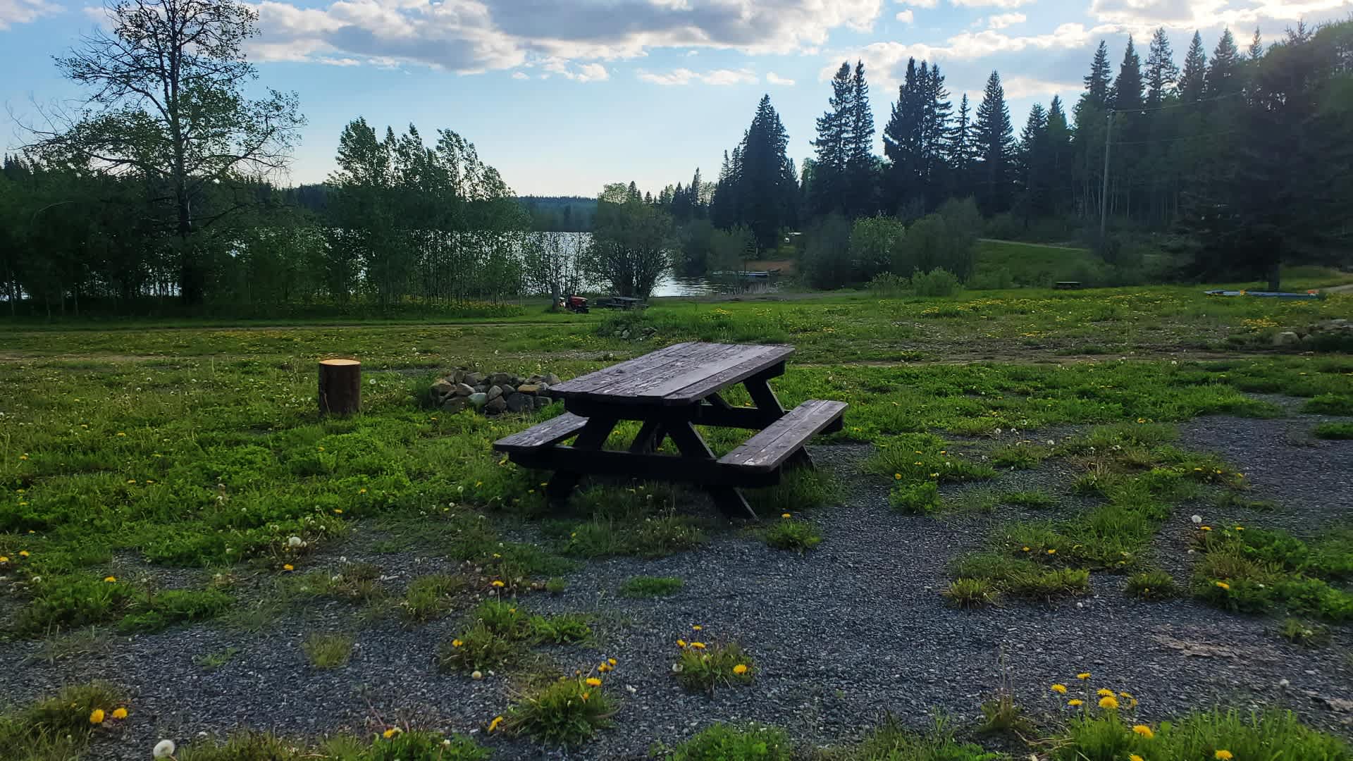 Picture of the site